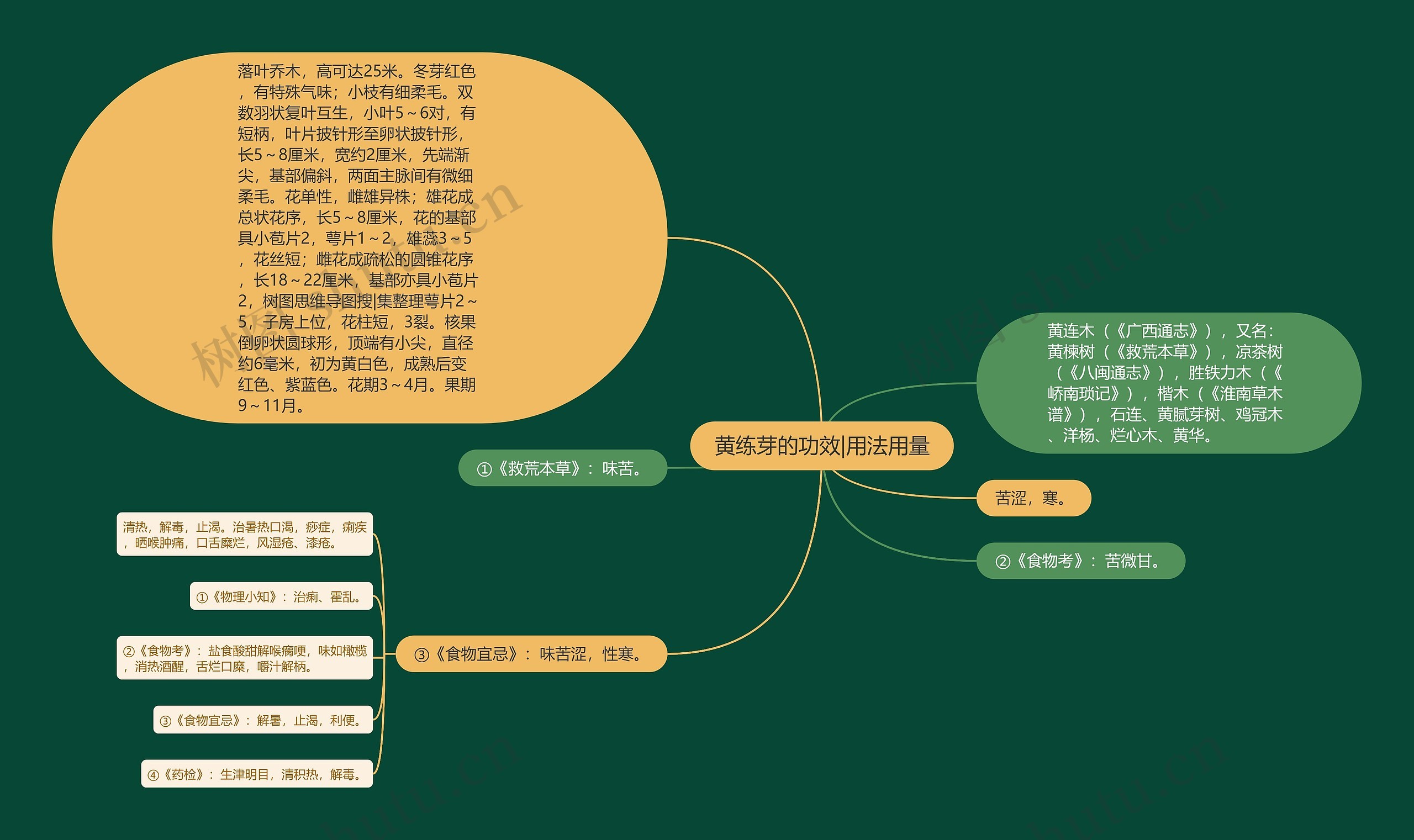 黄练芽的功效|用法用量思维导图