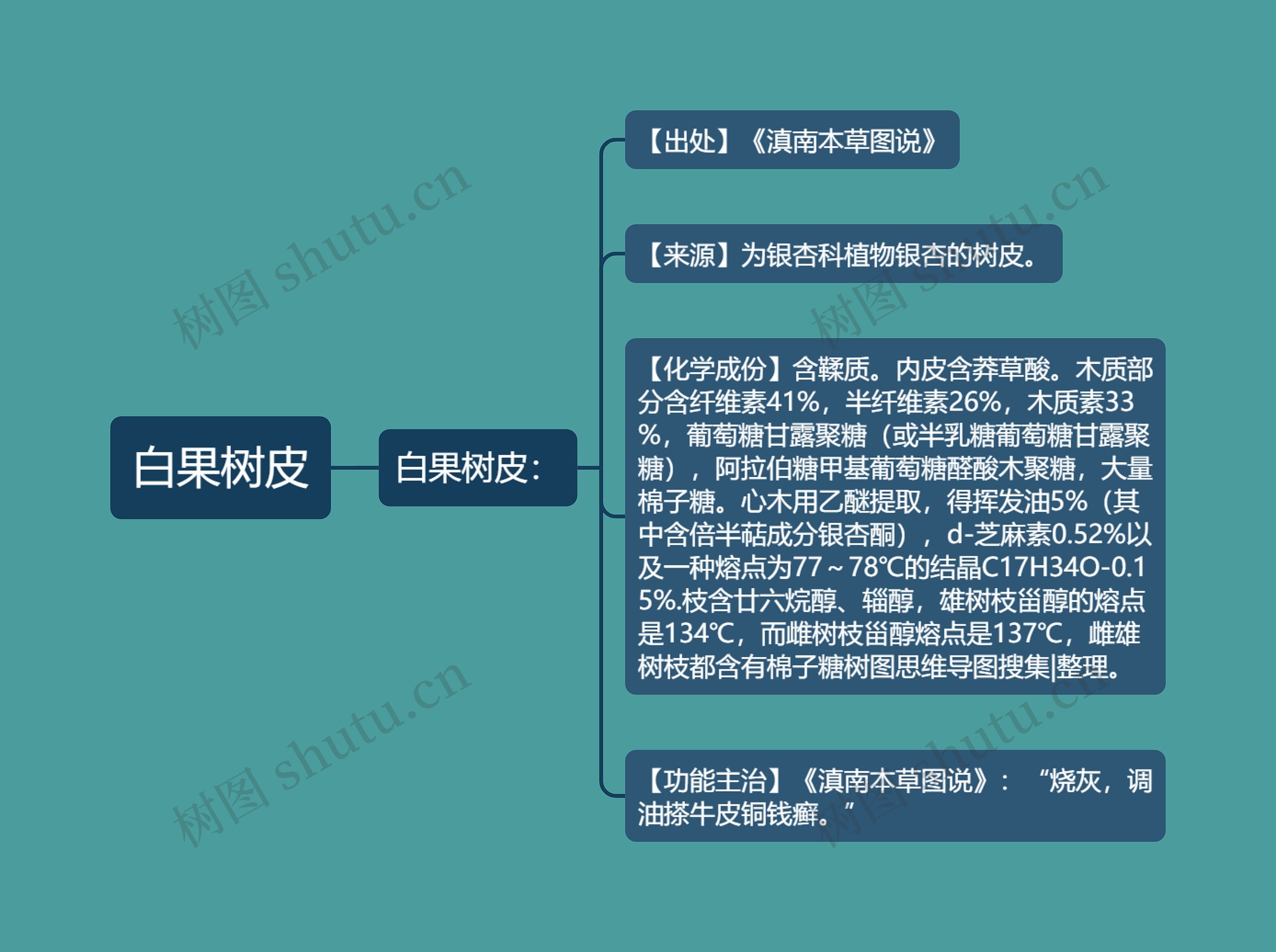 白果树皮思维导图