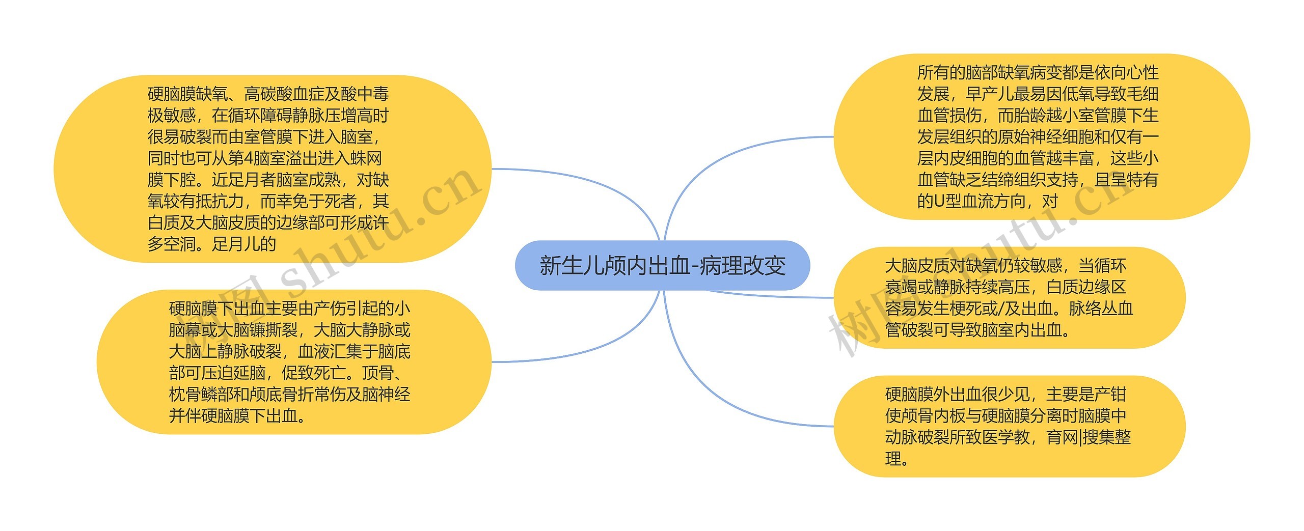 新生儿颅内出血-病理改变