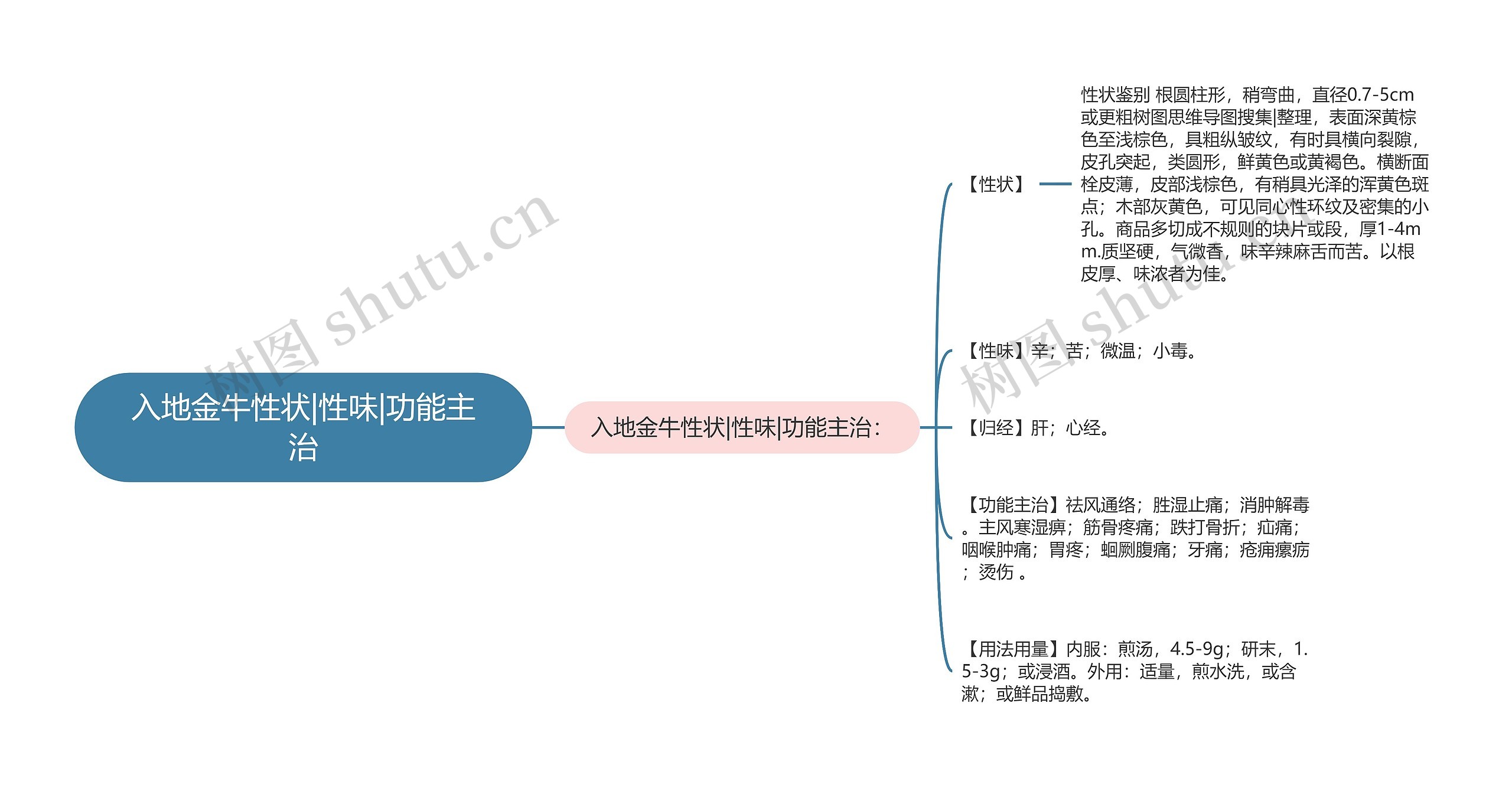 入地金牛性状|性味|功能主治思维导图