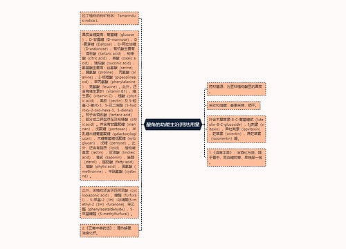 酸角的功能主治|用法用量思维导图