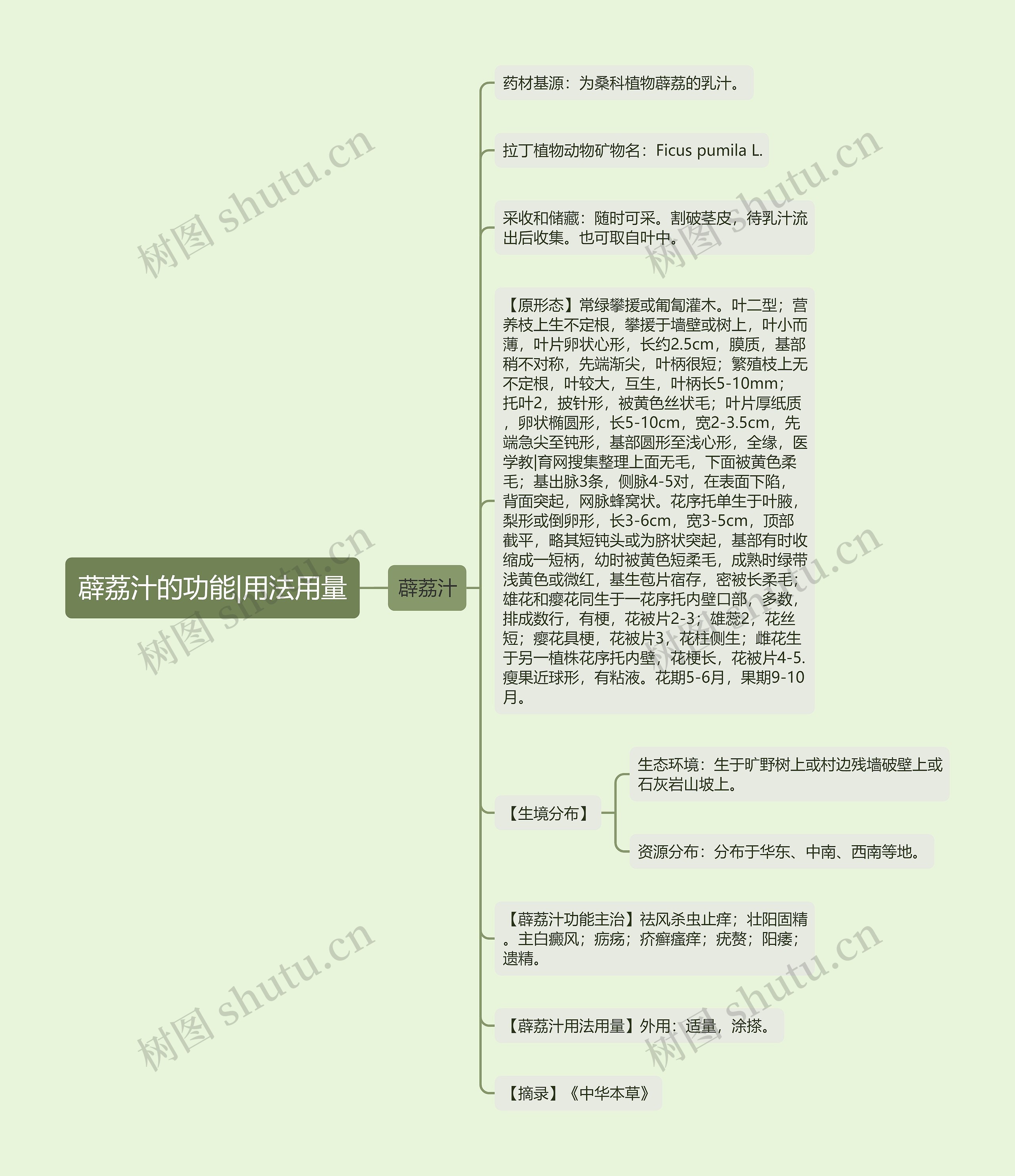 薜荔汁的功能|用法用量思维导图