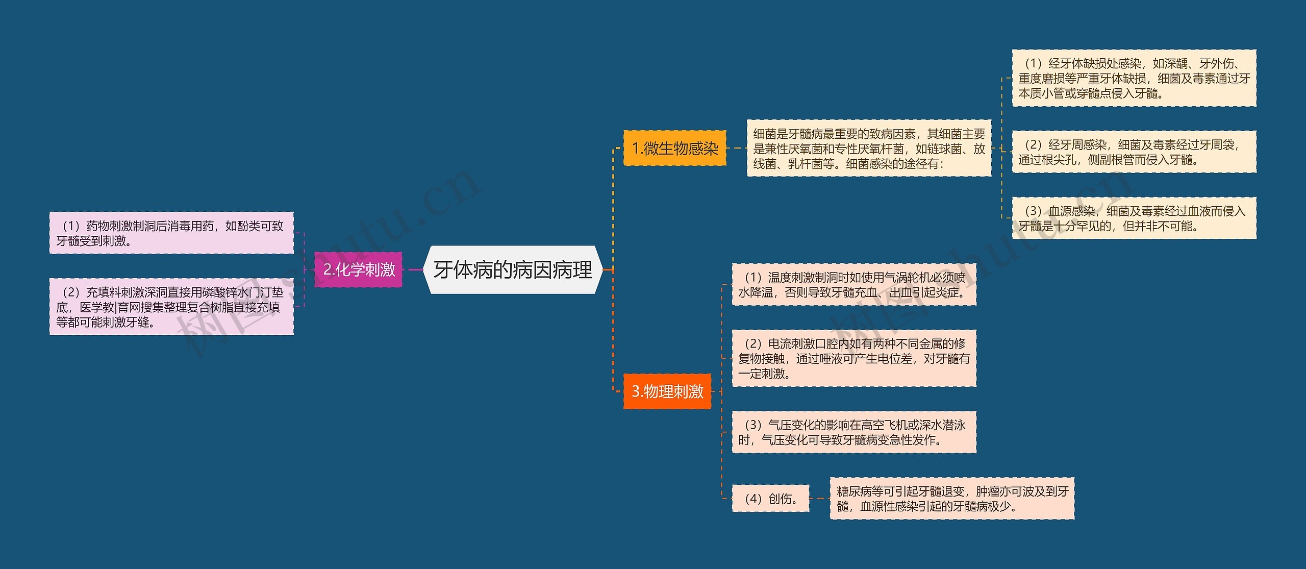 牙体病的病因病理思维导图