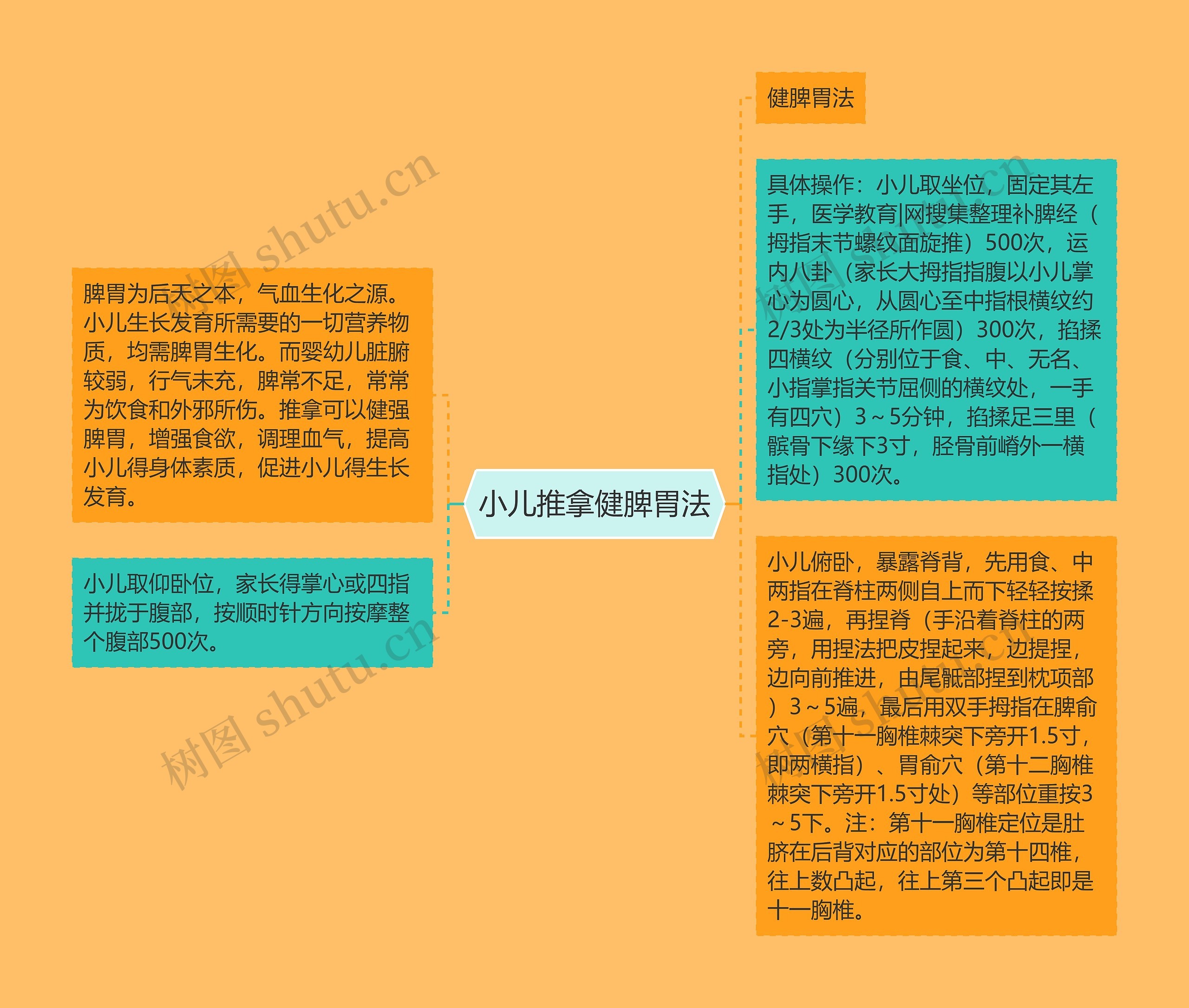 小儿推拿健脾胃法思维导图