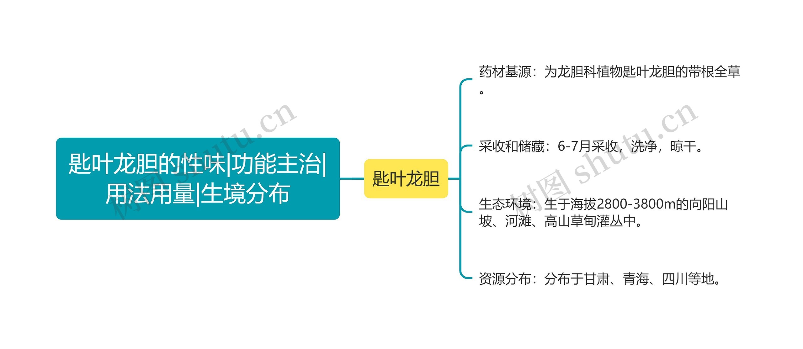 匙叶龙胆的性味|功能主治|用法用量|生境分布