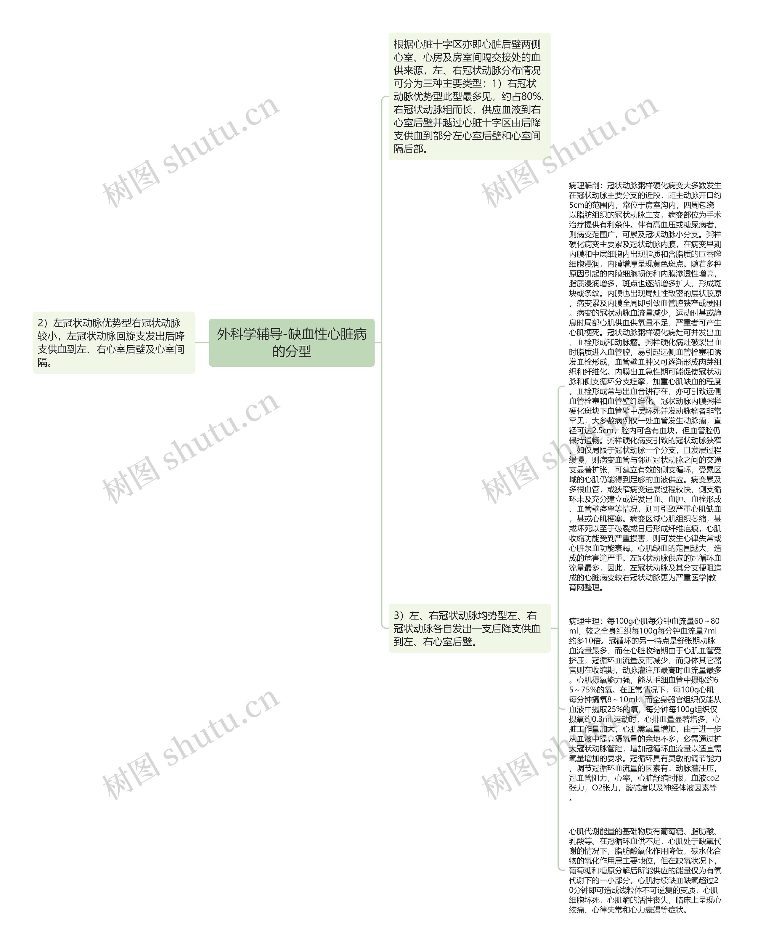 外科学辅导-缺血性心脏病的分型