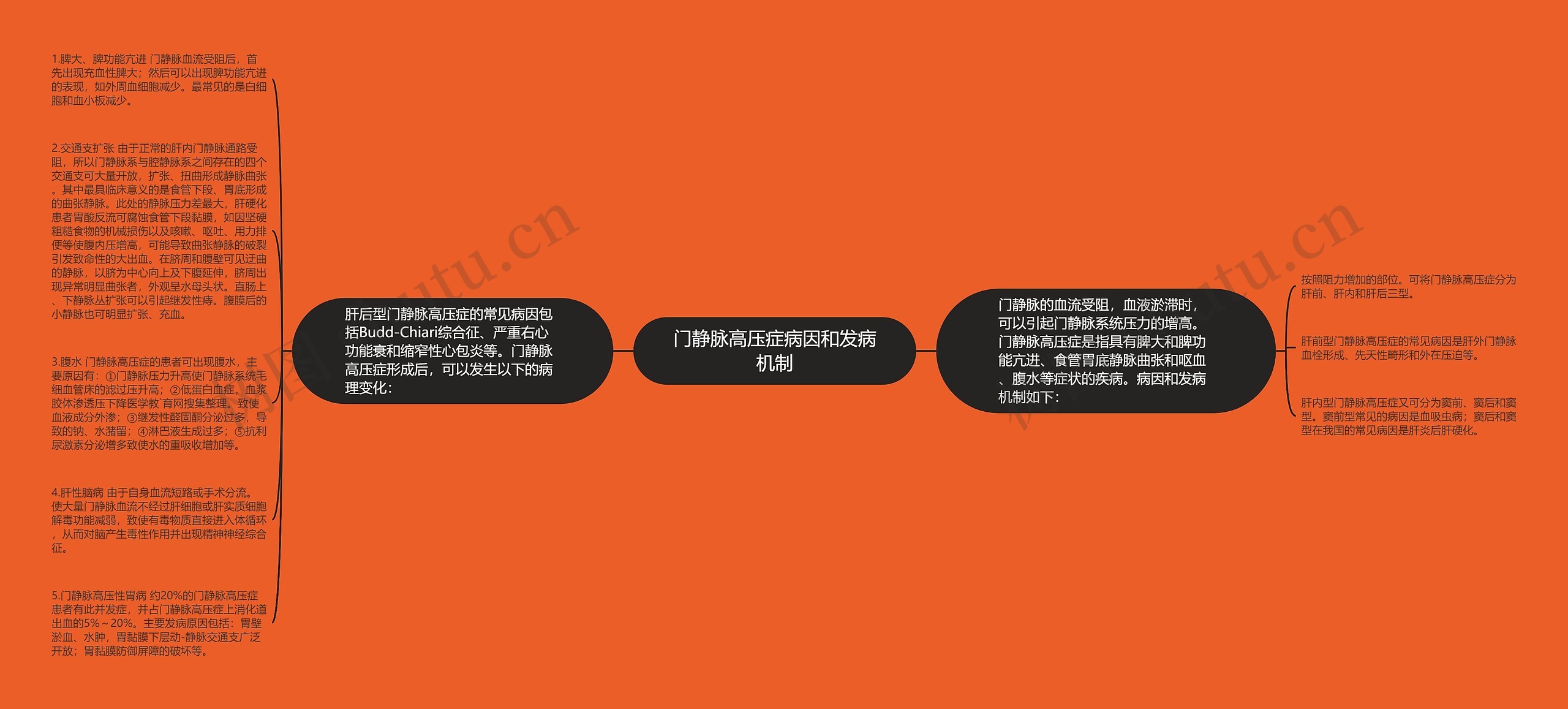 门静脉高压症病因和发病机制