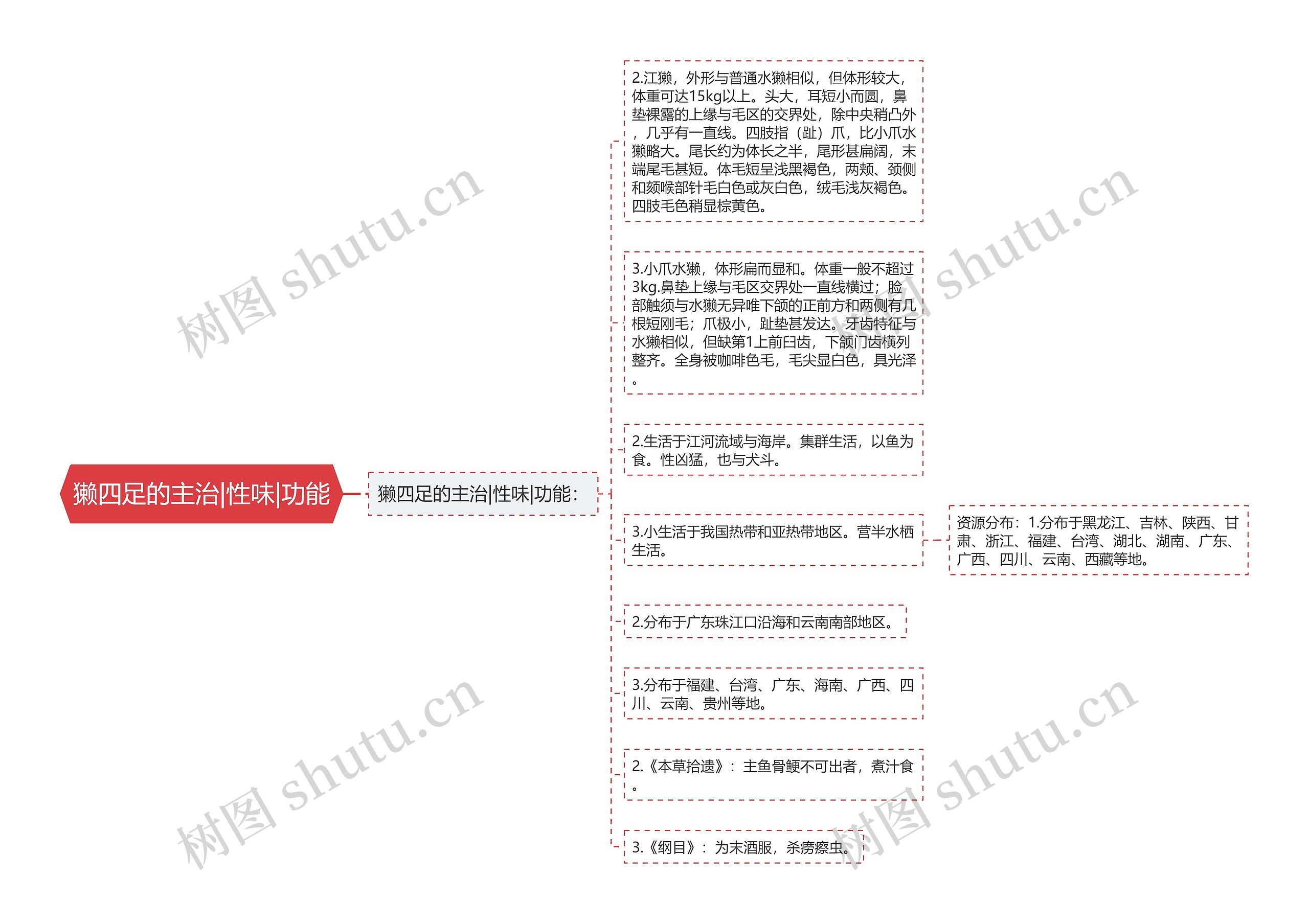 獭四足的主治|性味|功能思维导图