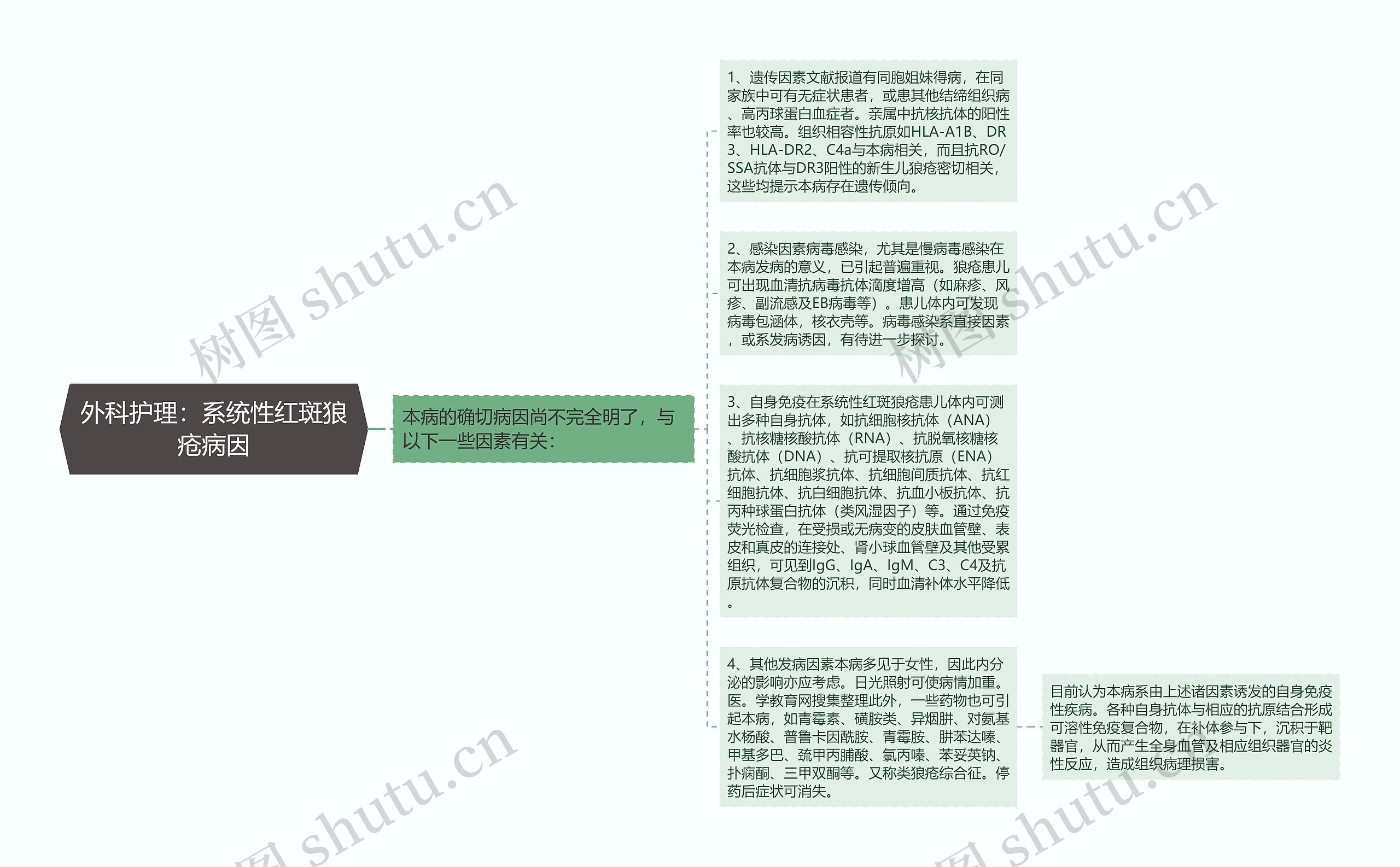 外科护理：系统性红斑狼疮病因思维导图