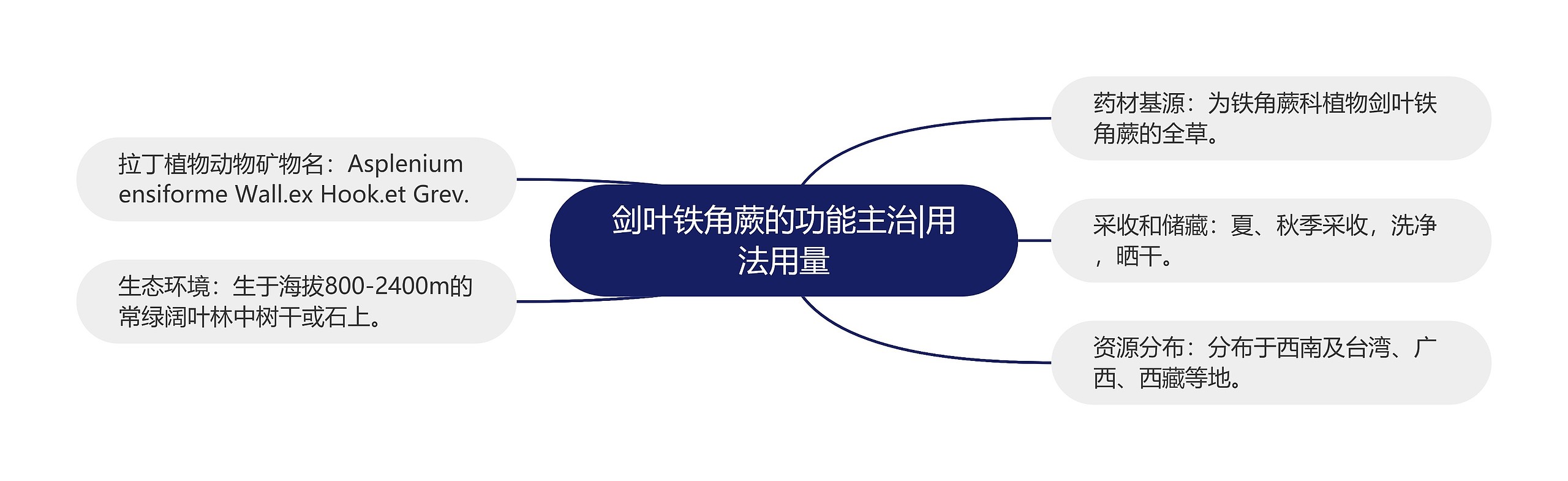 剑叶铁角蕨的功能主治|用法用量 剑叶铁角蕨的功能主治|用法用量