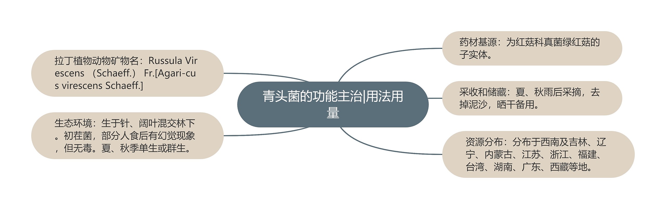 青头菌的功能主治|用法用量 青头菌的功能主治|用法用量