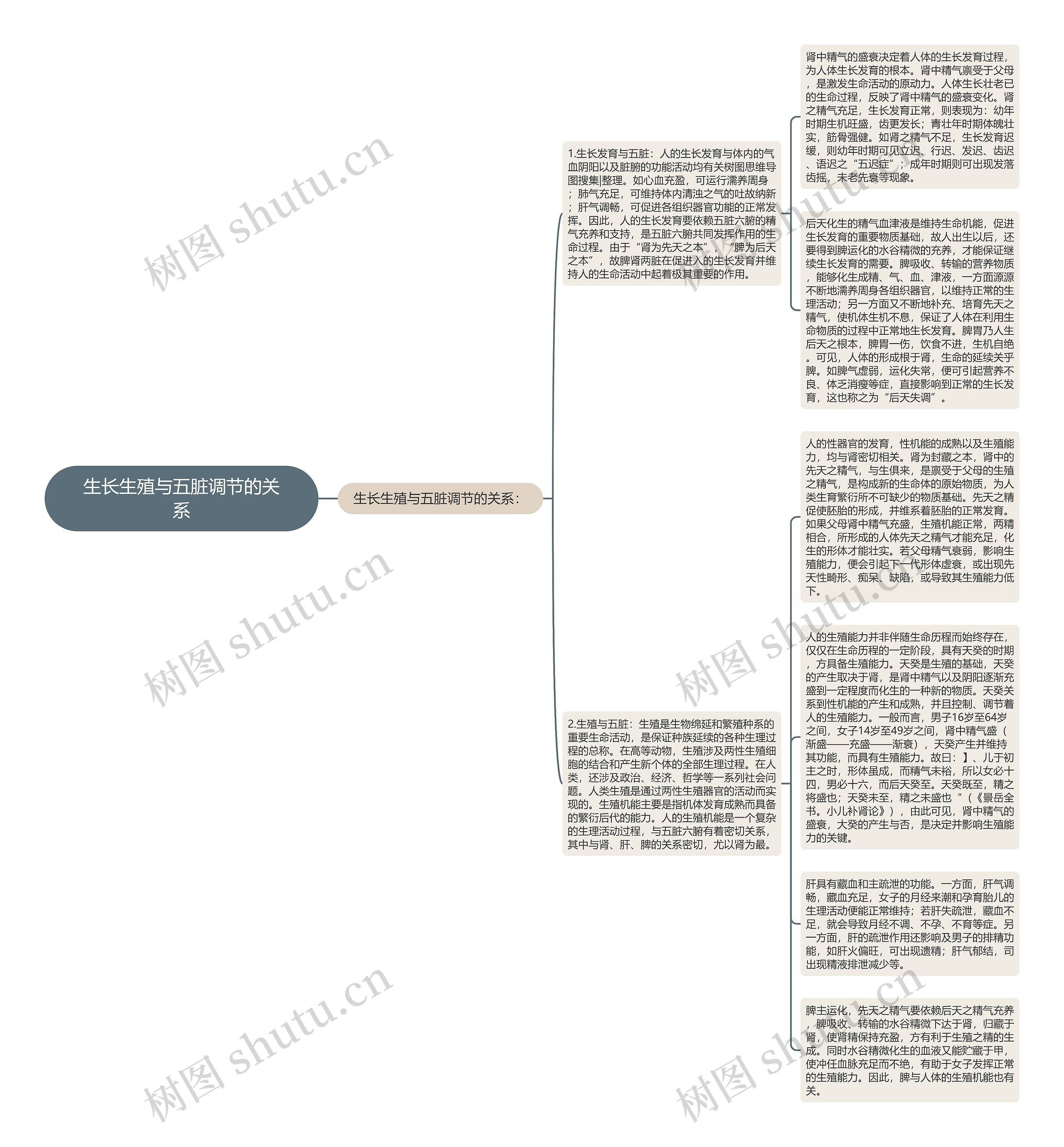 生长生殖与五脏调节的关系思维导图