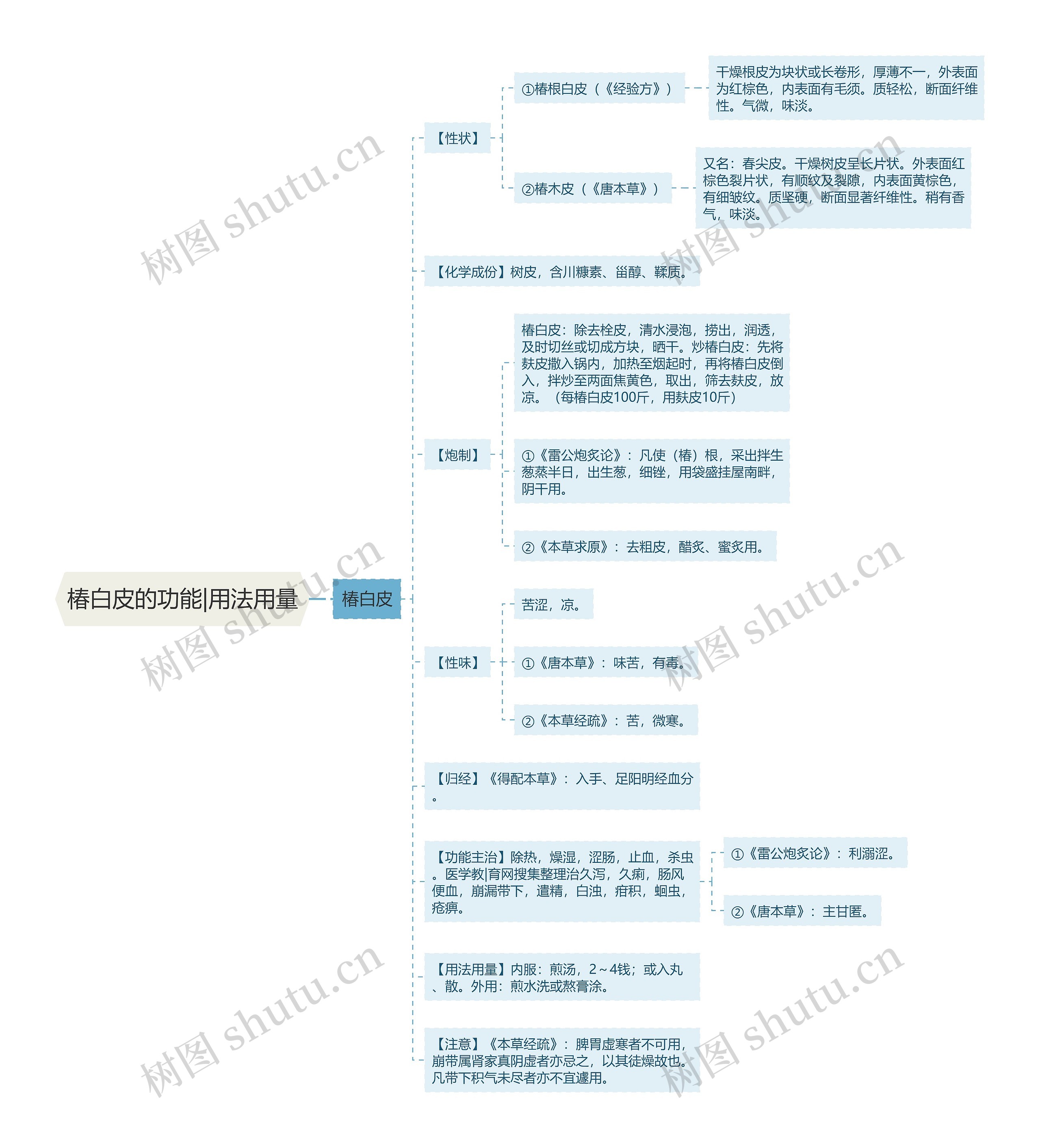 椿白皮的功能|用法用量思维导图