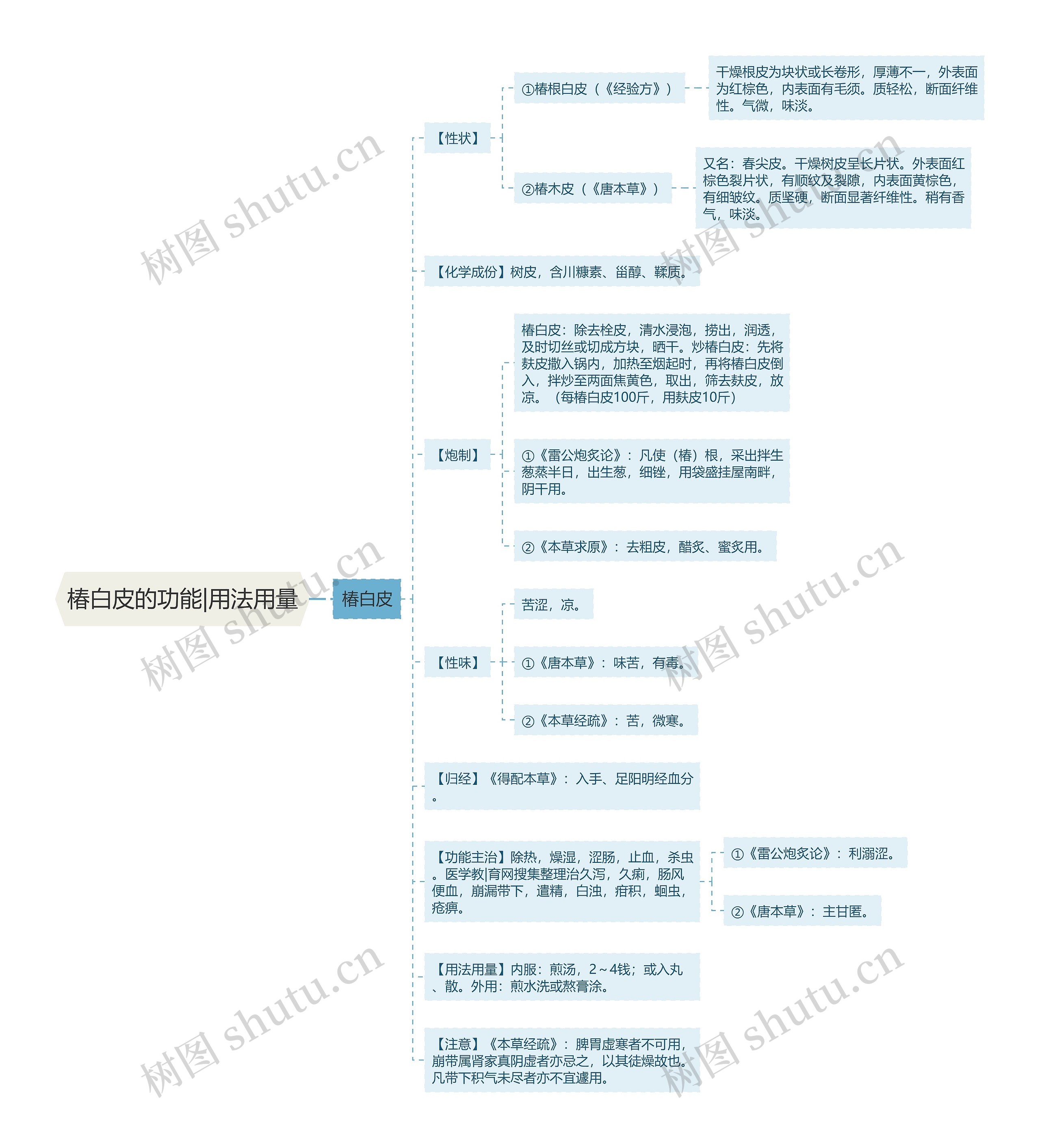 椿白皮的功能|用法用量 椿白皮的功能|用法用量