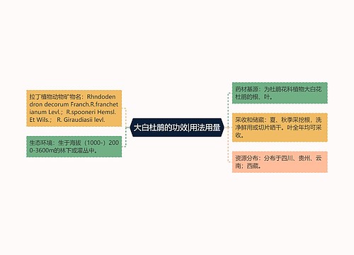 大白杜鹃的功效|用法用量