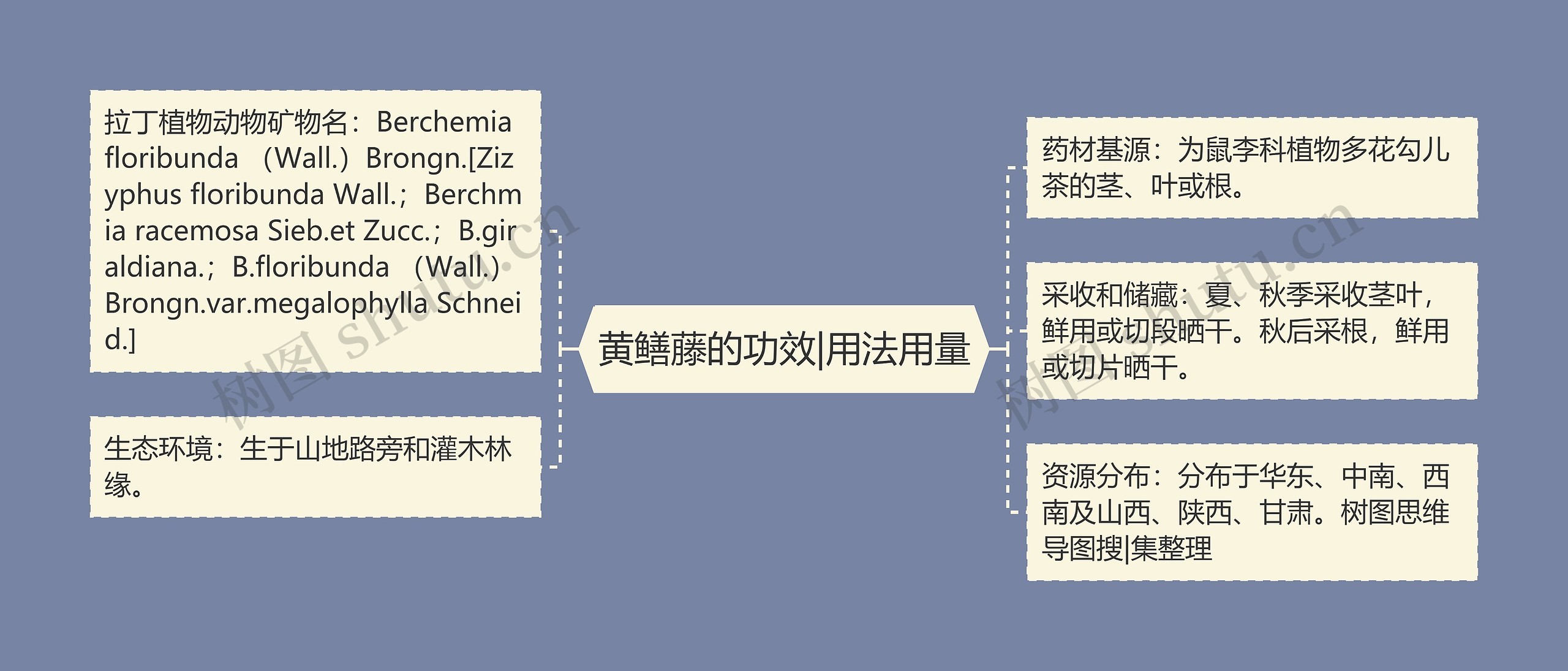 黄鳝藤的功效|用法用量思维导图