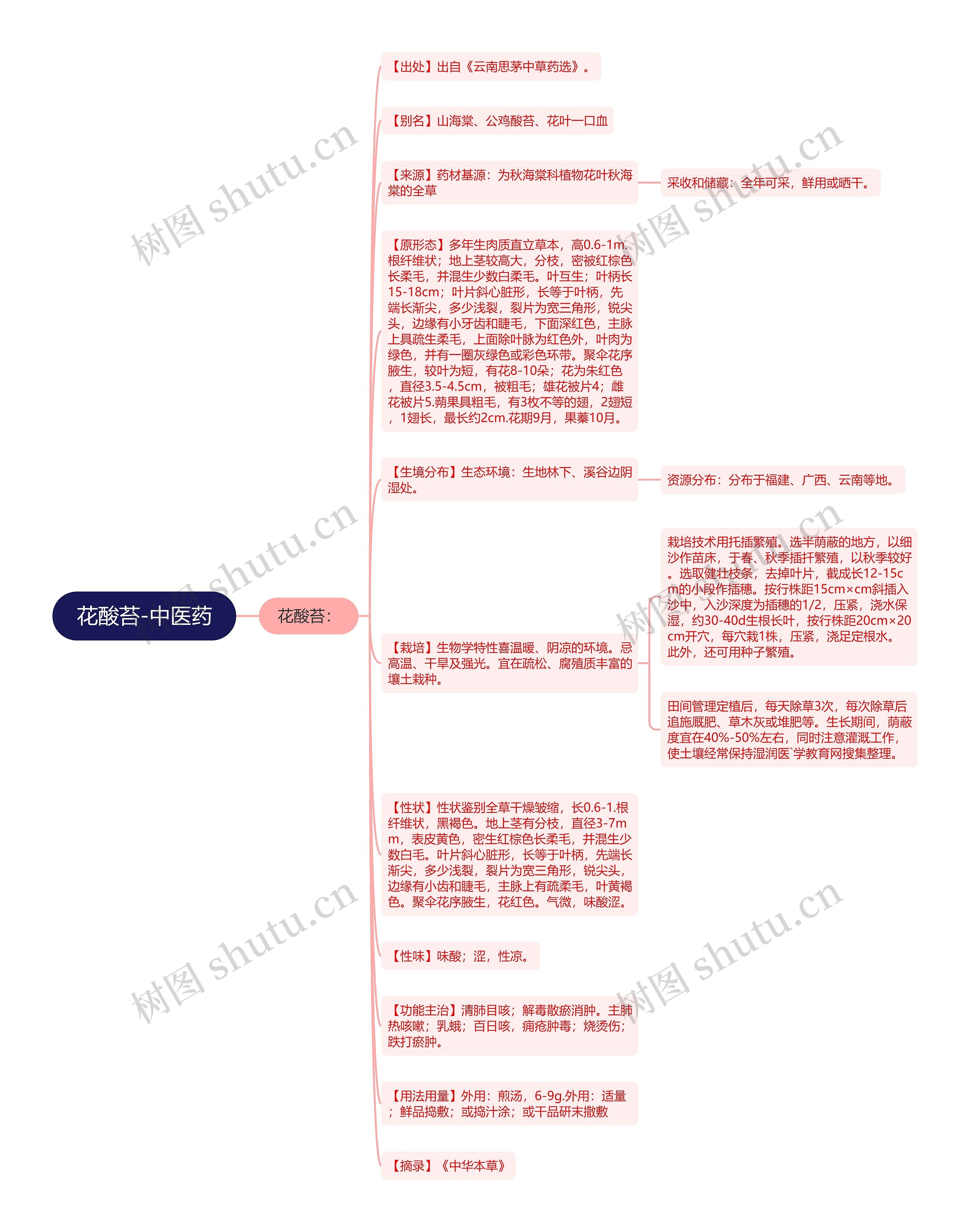 花酸苔-中医药思维导图