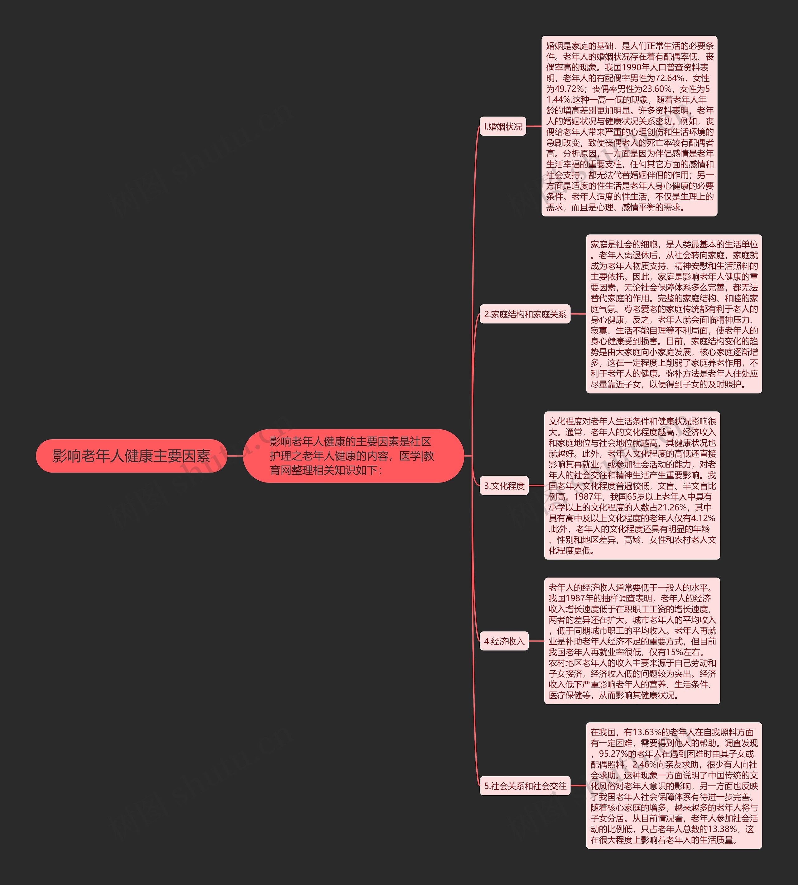 影响老年人健康主要因素思维导图