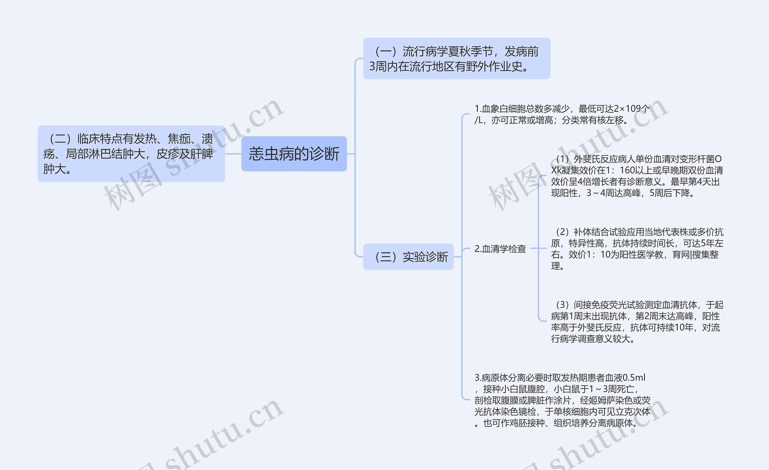 恙虫病的诊断思维导图