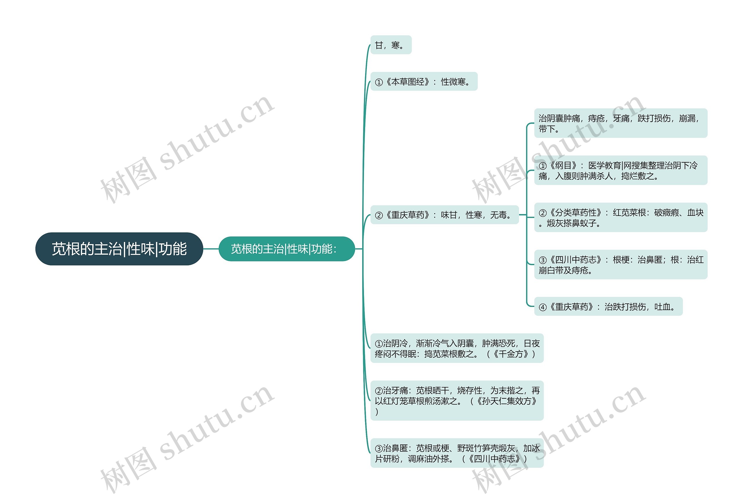 苋根的主治|性味|功能思维导图