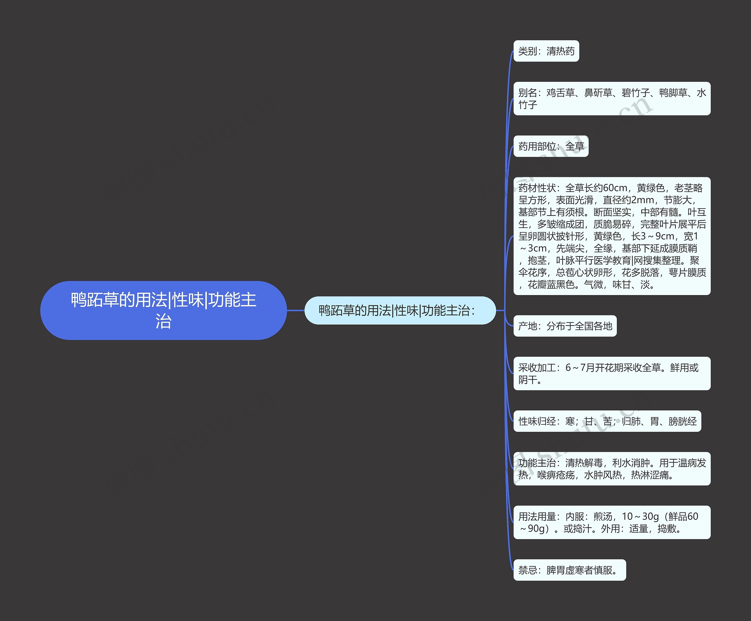 鸭跖草的用法|性味|功能主治 鸭跖草的用法|性味|功能主治
