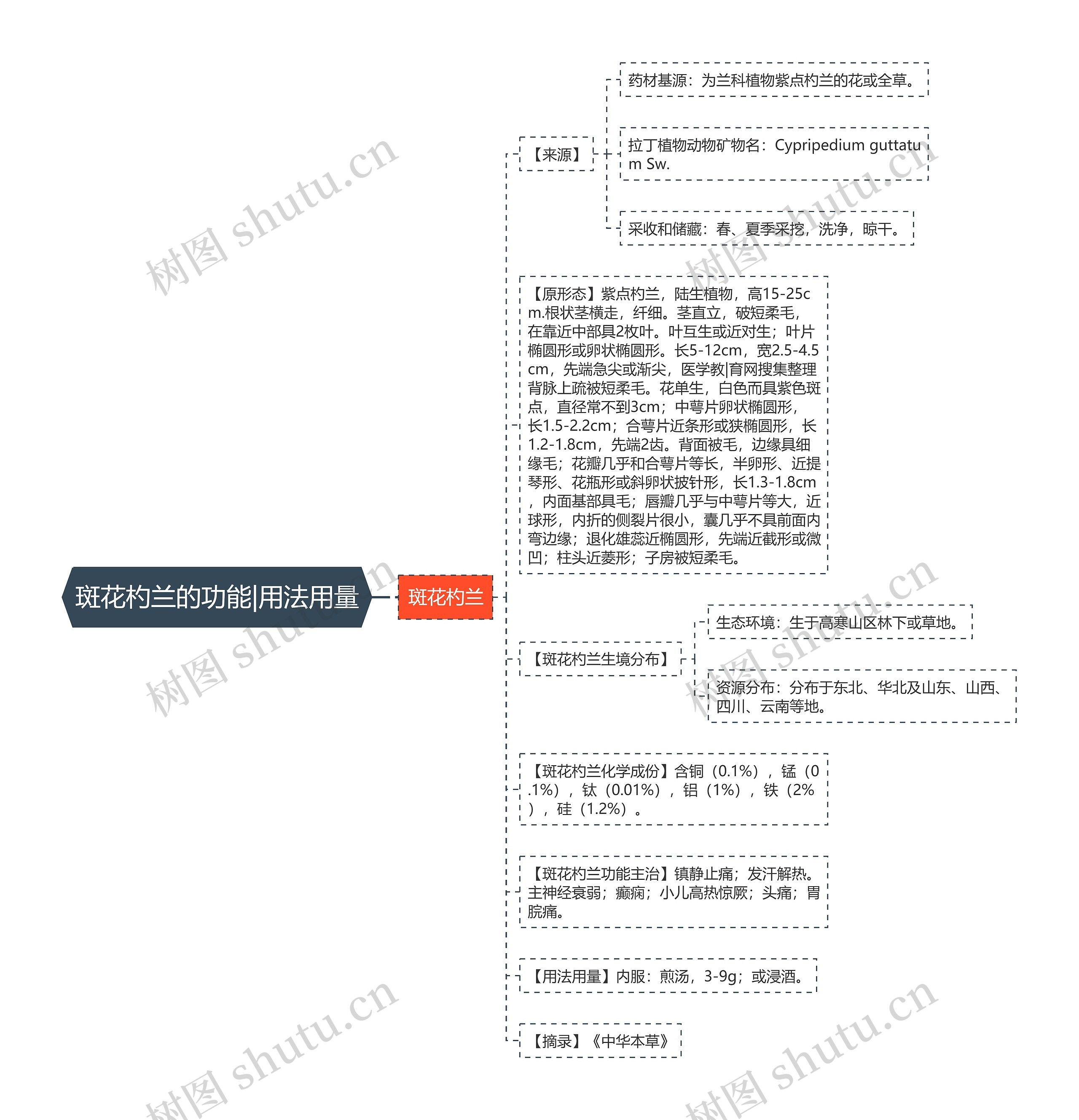 斑花杓兰的功能|用法用量