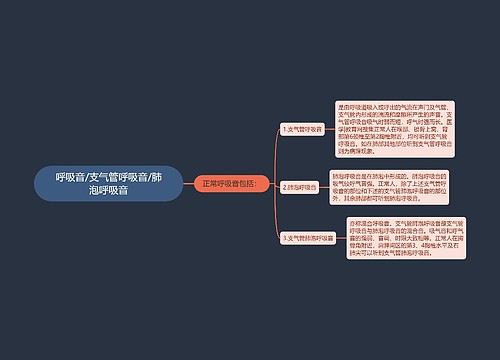 呼吸音/支气管呼吸音/肺泡呼吸音