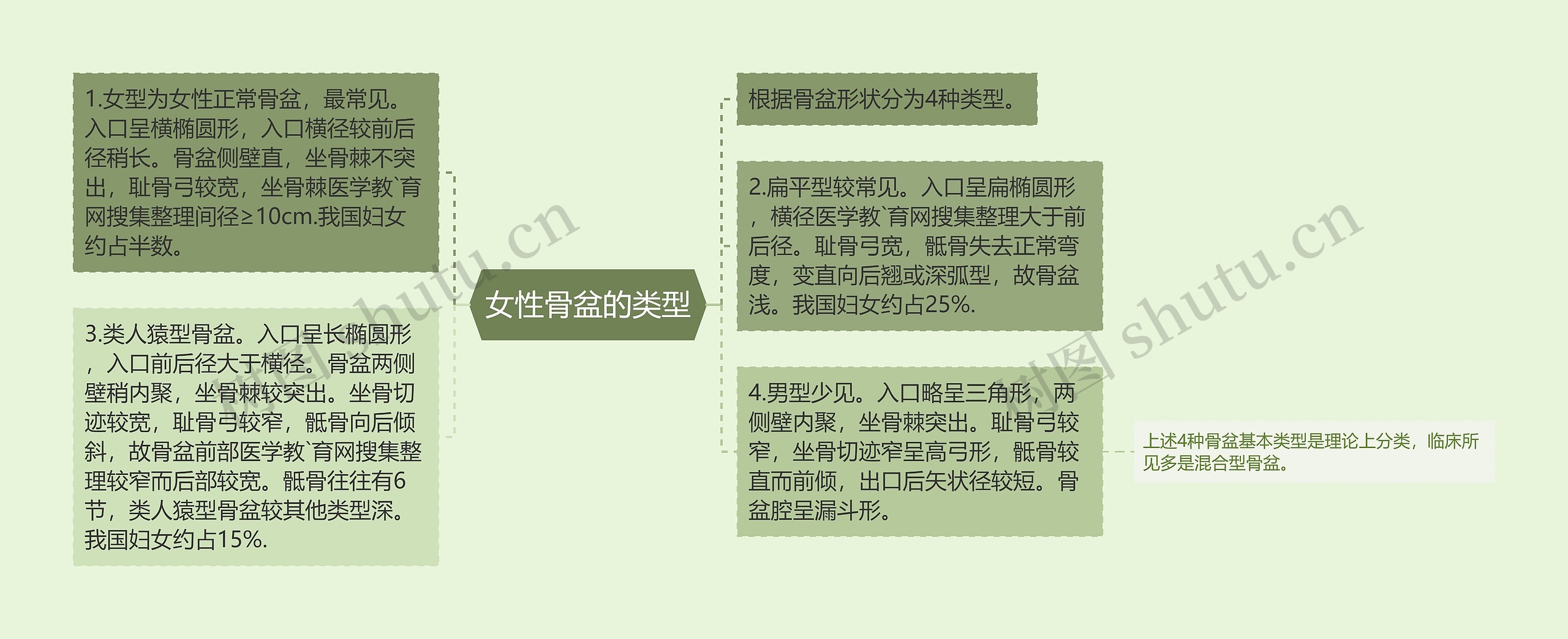 女性骨盆的类型思维导图