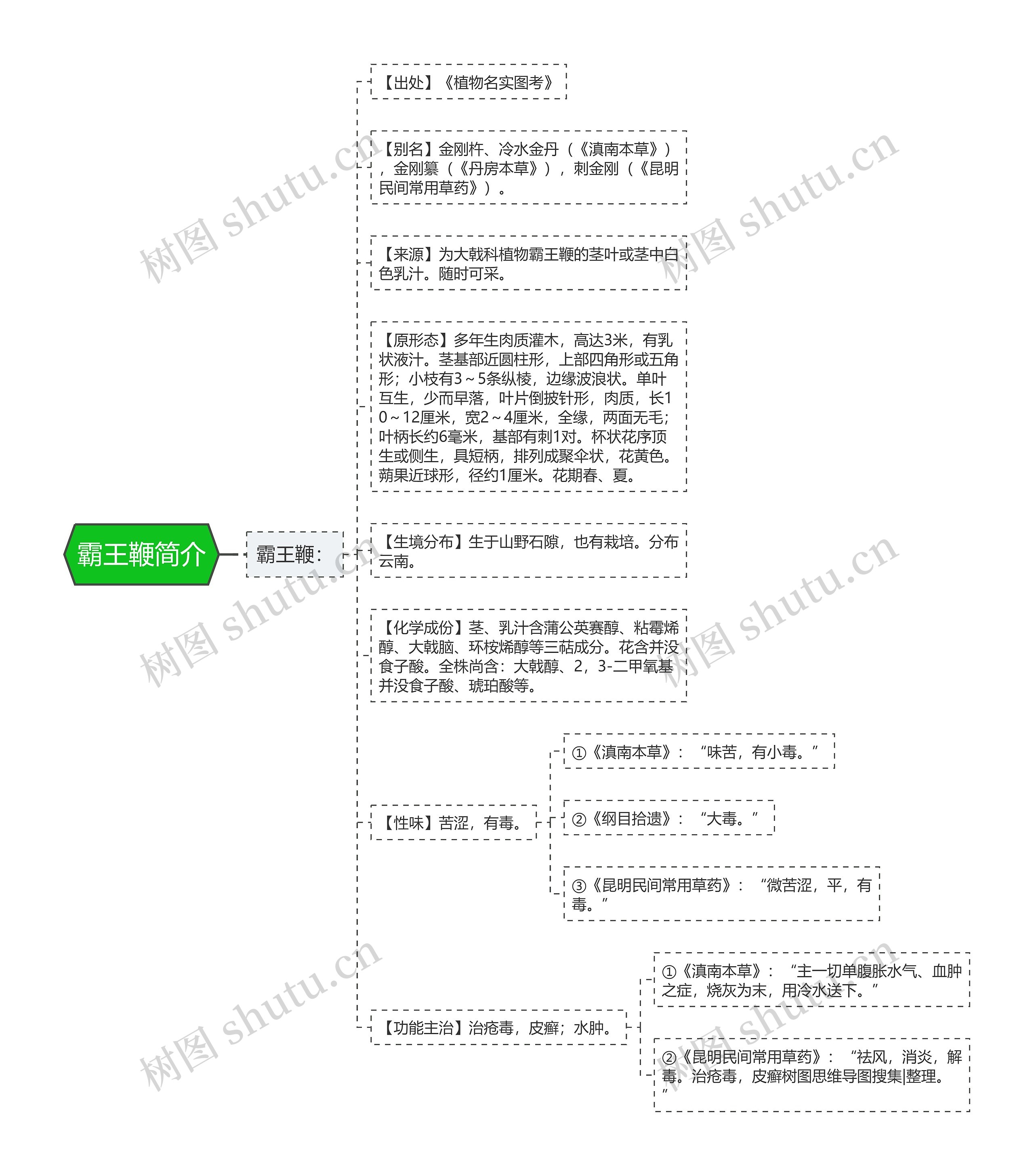 霸王鞭简介思维导图