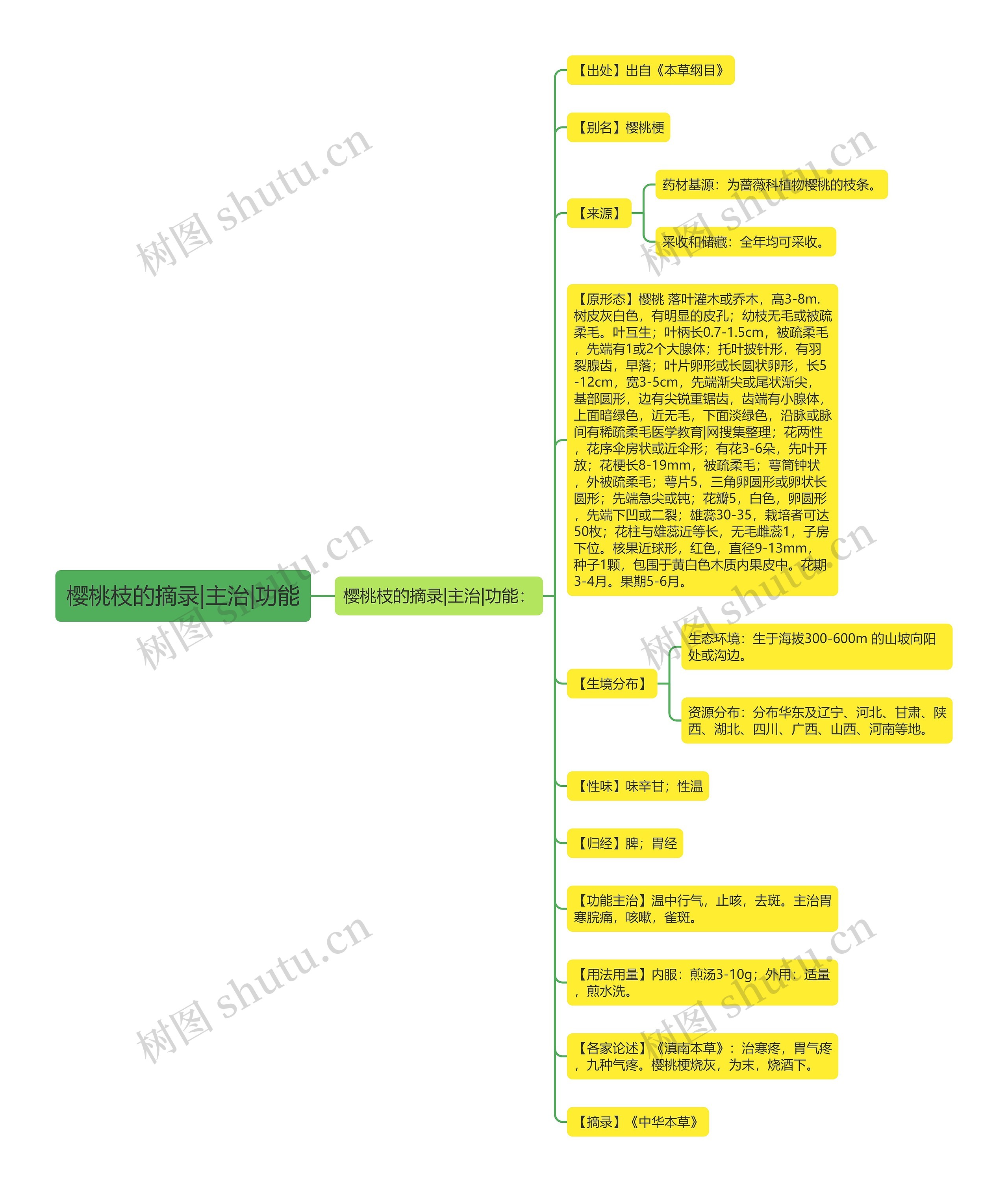 樱桃枝的摘录|主治|功能思维导图