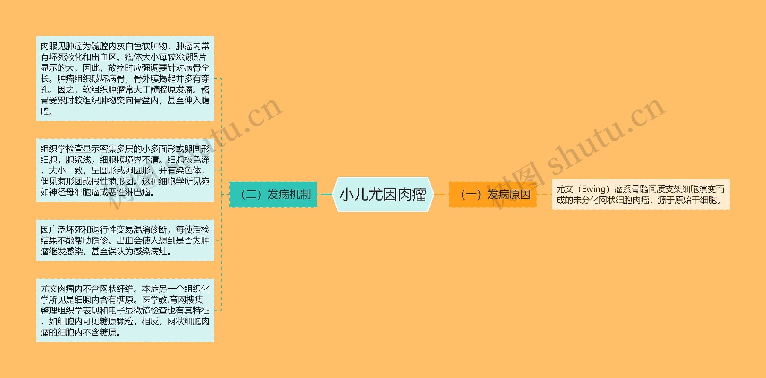 小儿尤因肉瘤思维导图