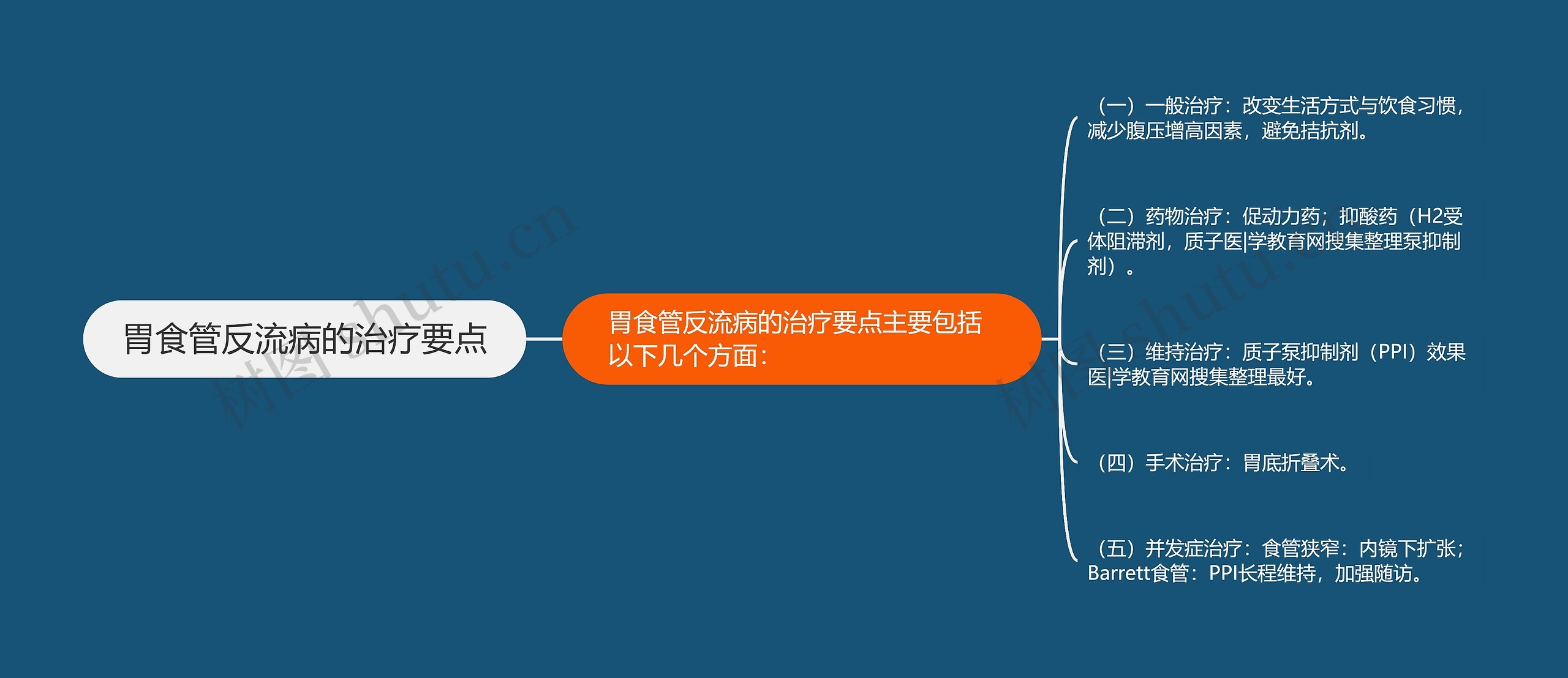 胃食管反流病的治疗要点思维导图