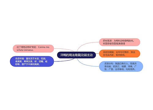 洋鸭的用法用量|功能主治