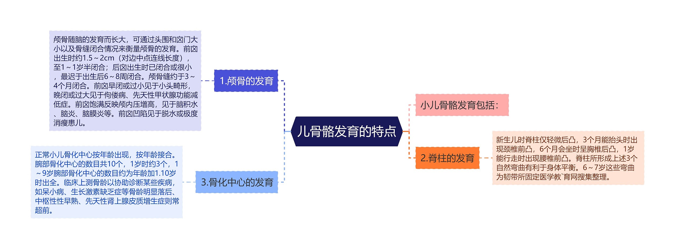 儿骨骼发育的特点思维导图