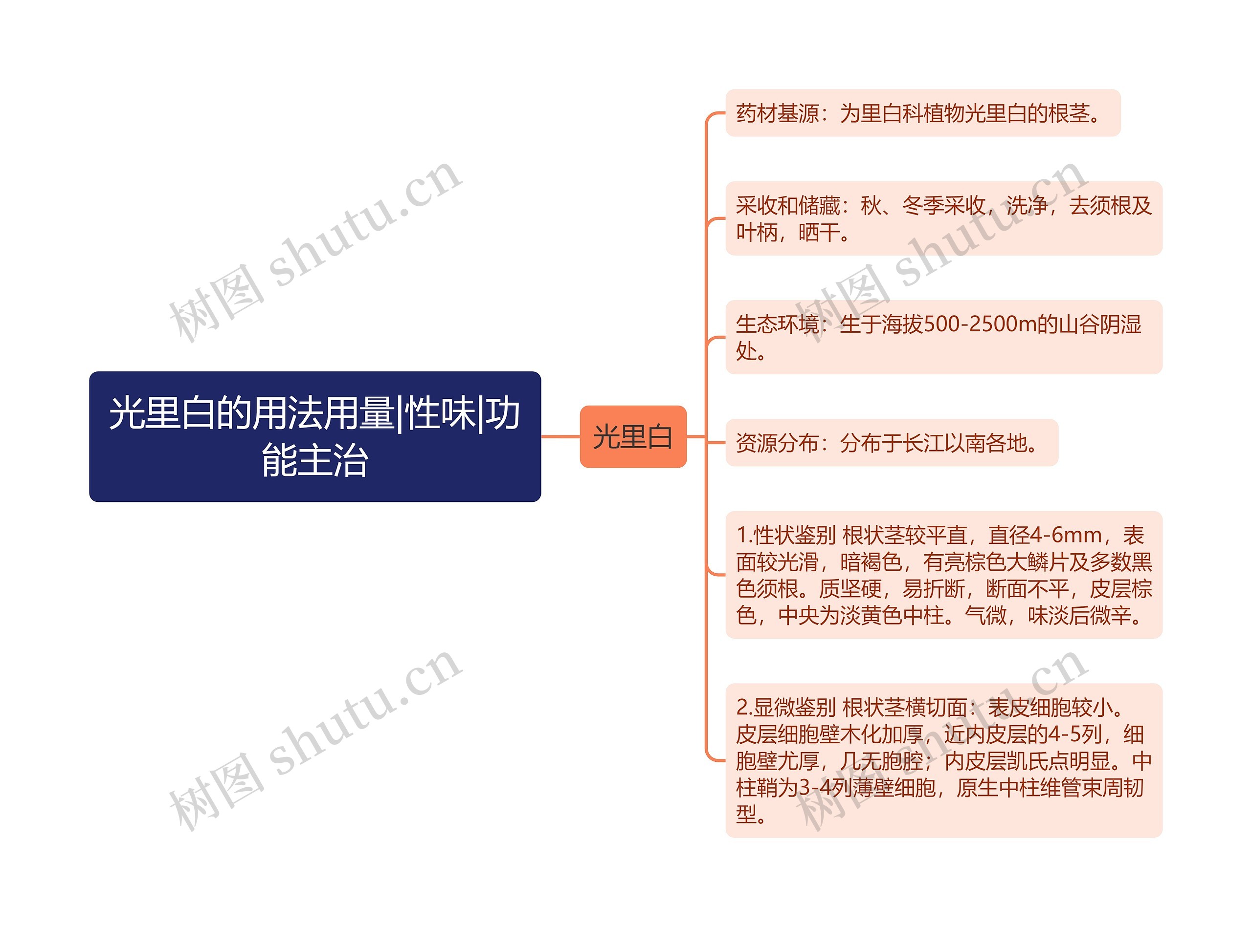 光里白的用法用量|性味|功能主治