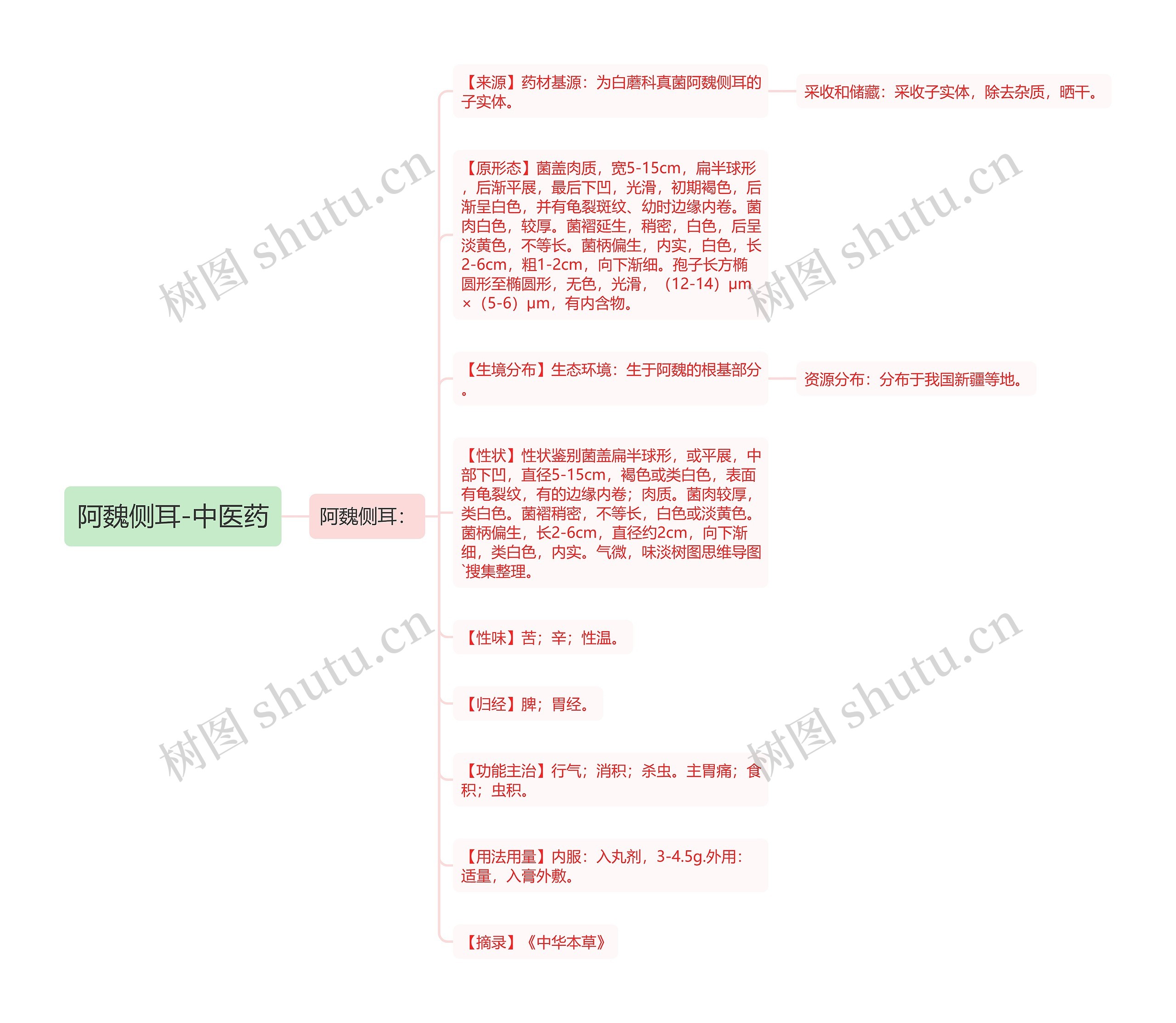 阿魏侧耳-中医药思维导图