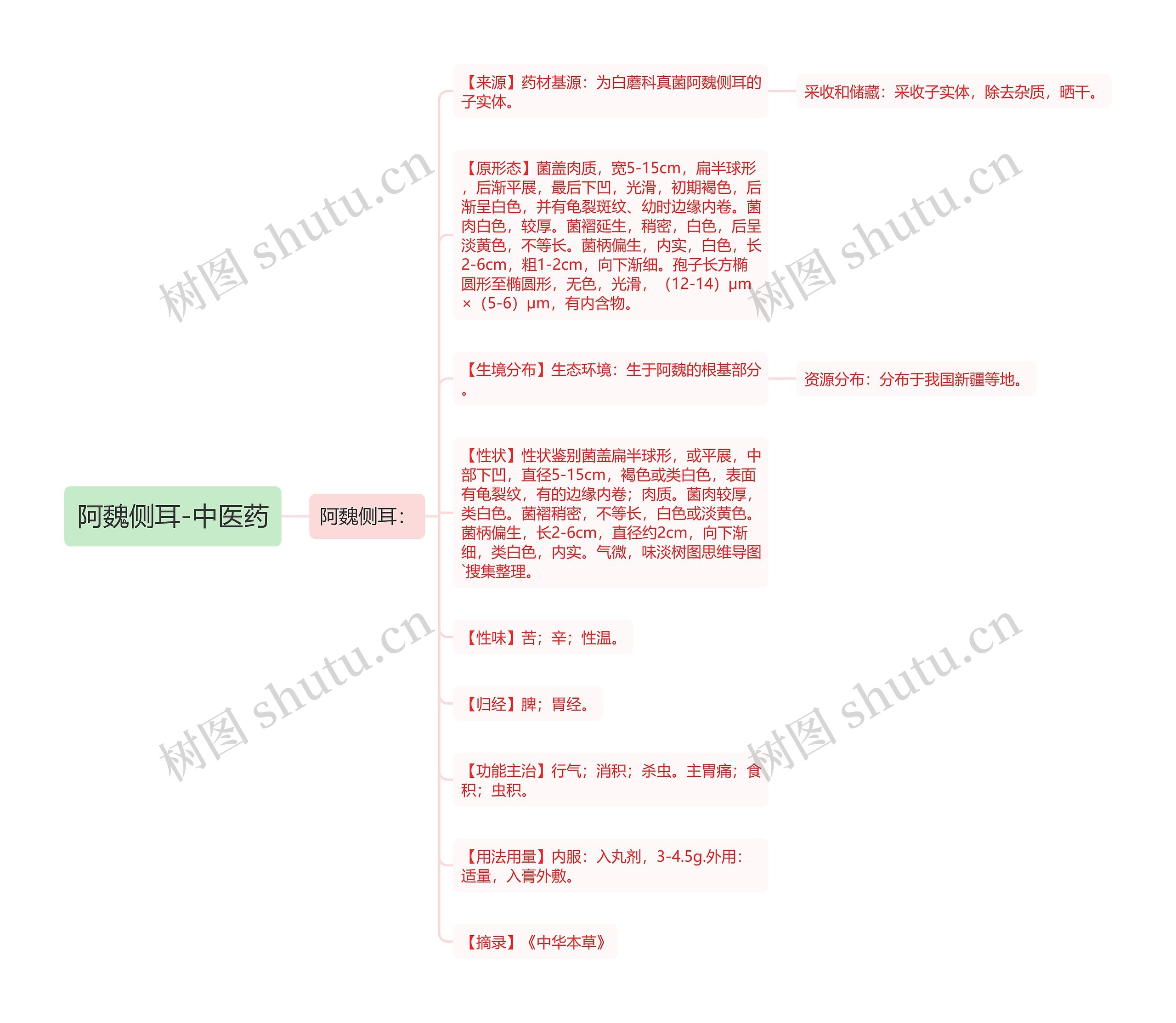 阿魏侧耳-中医药 阿魏侧耳-中医药