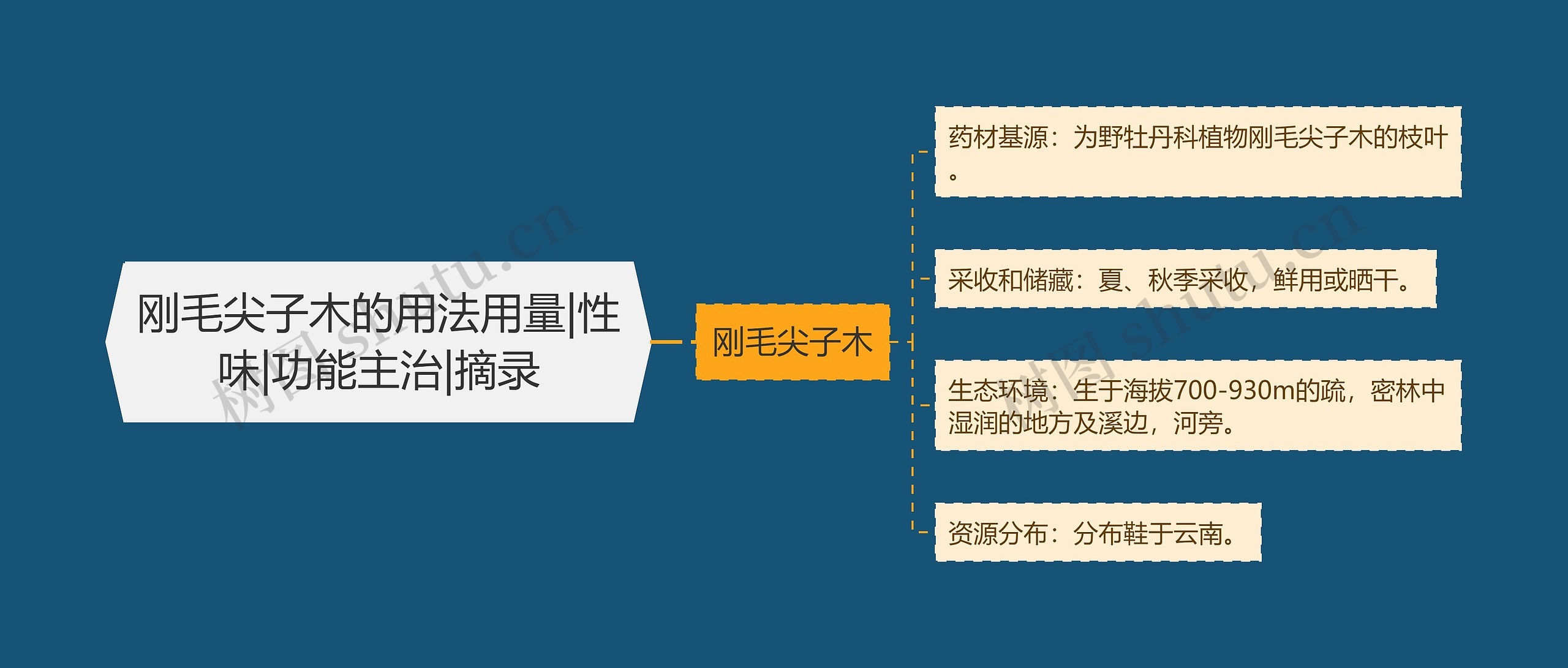 刚毛尖子木的用法用量|性味|功能主治|摘录