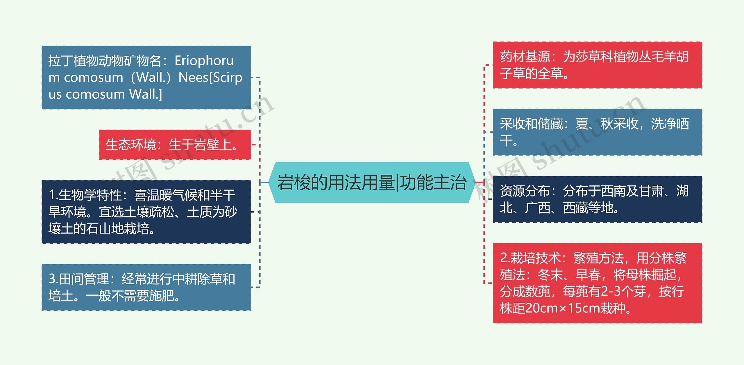 岩梭的用法用量|功能主治思维导图