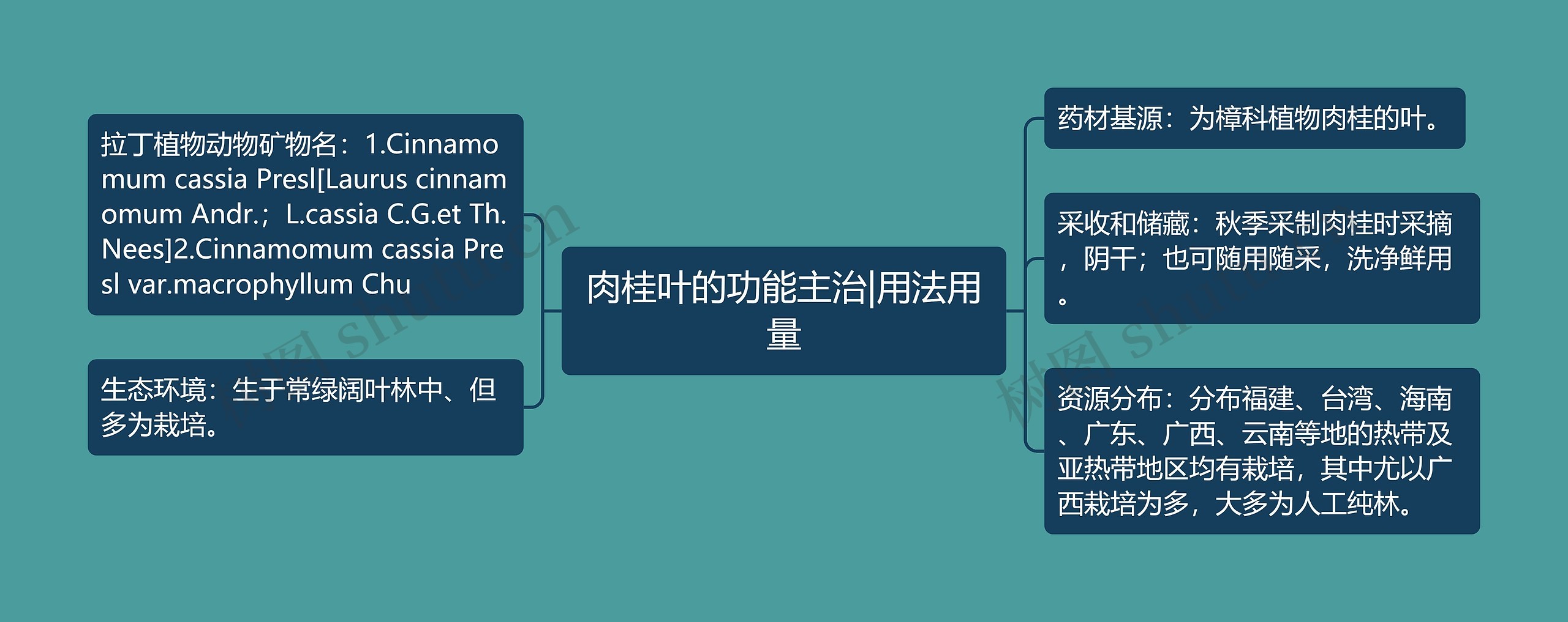 肉桂叶的功能主治|用法用量思维导图