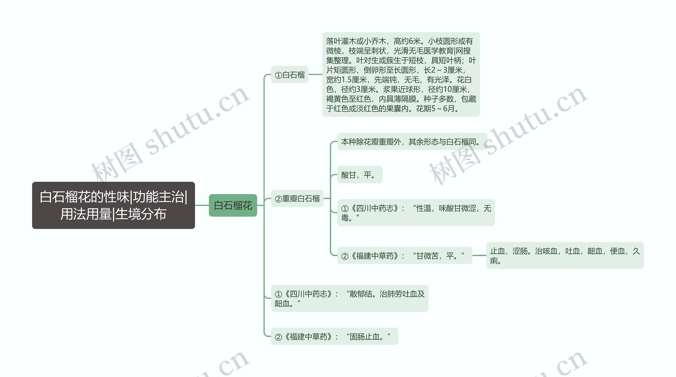 白石榴花的性味|功能主治|用法用量|生境分布思维导图