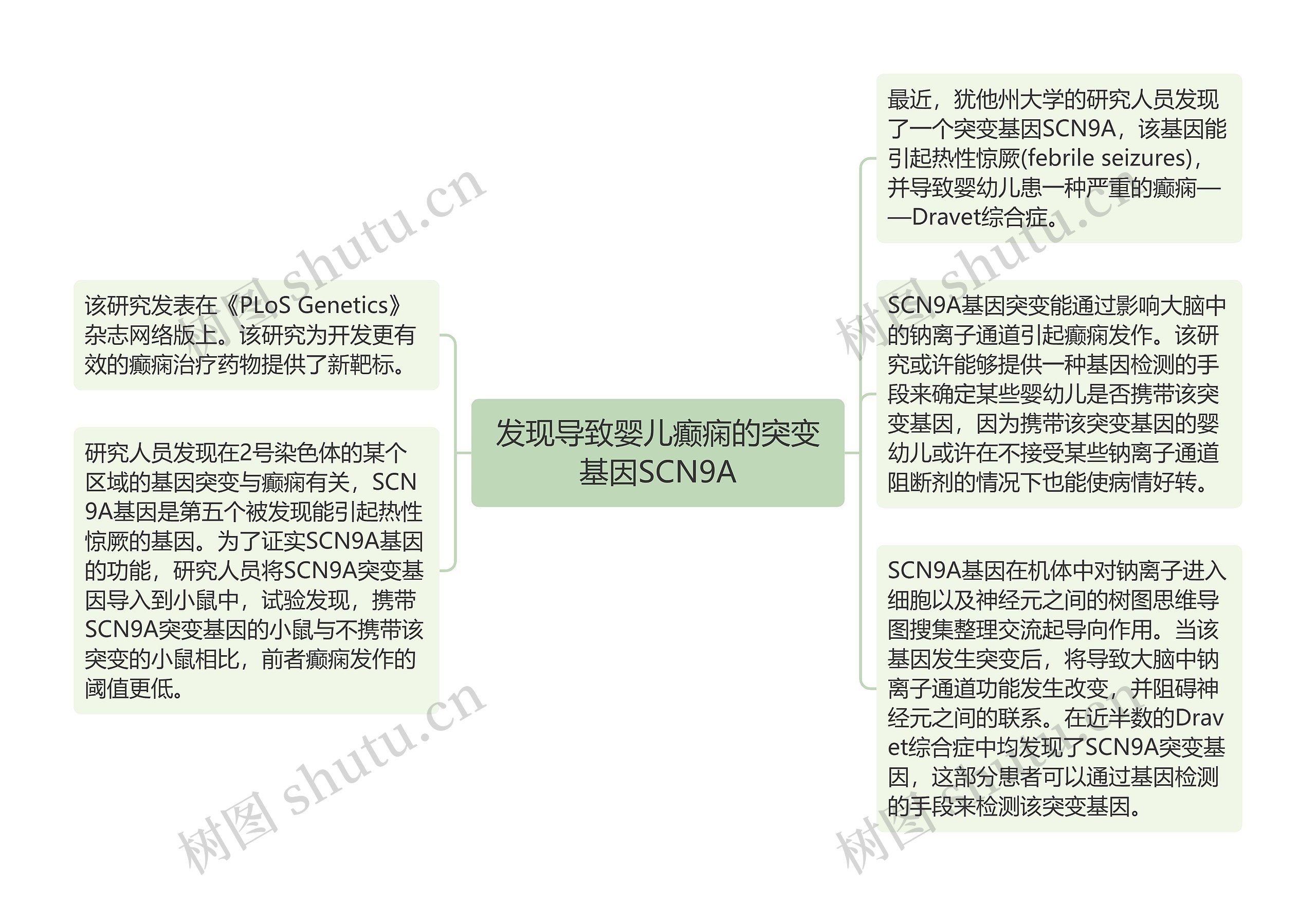 发现导致婴儿癫痫的突变基因SCN9A思维导图