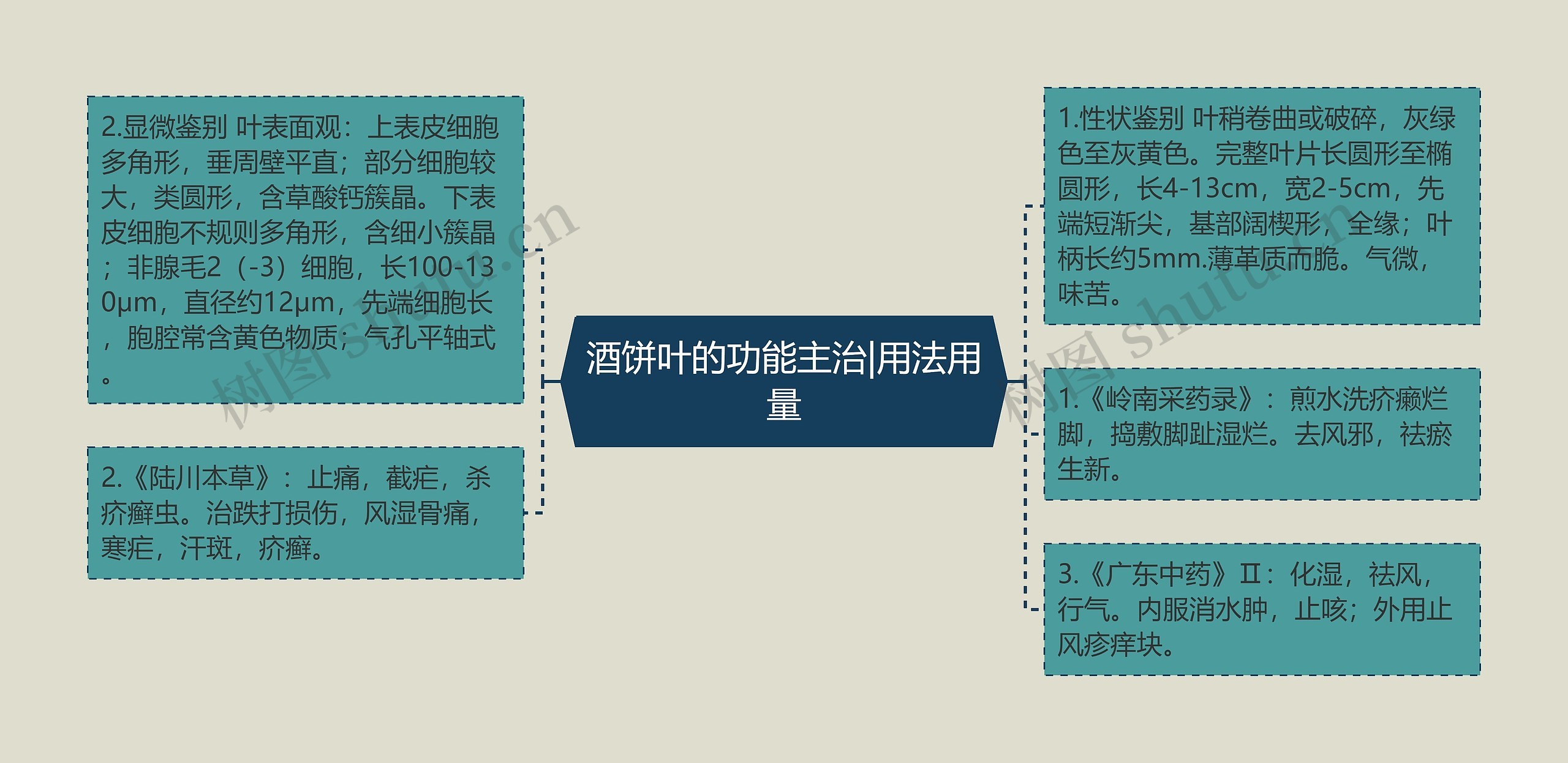 酒饼叶的功能主治|用法用量思维导图