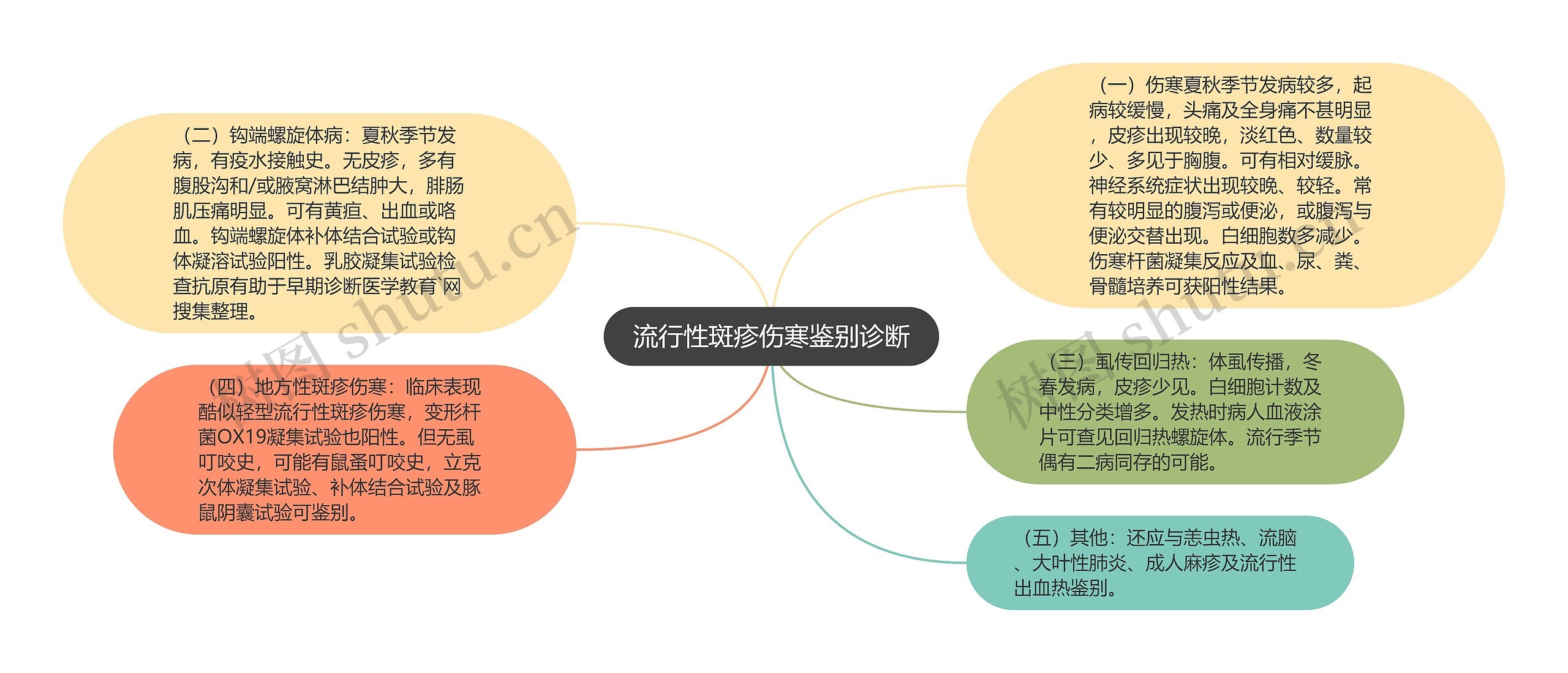 流行性斑疹伤寒鉴别诊断