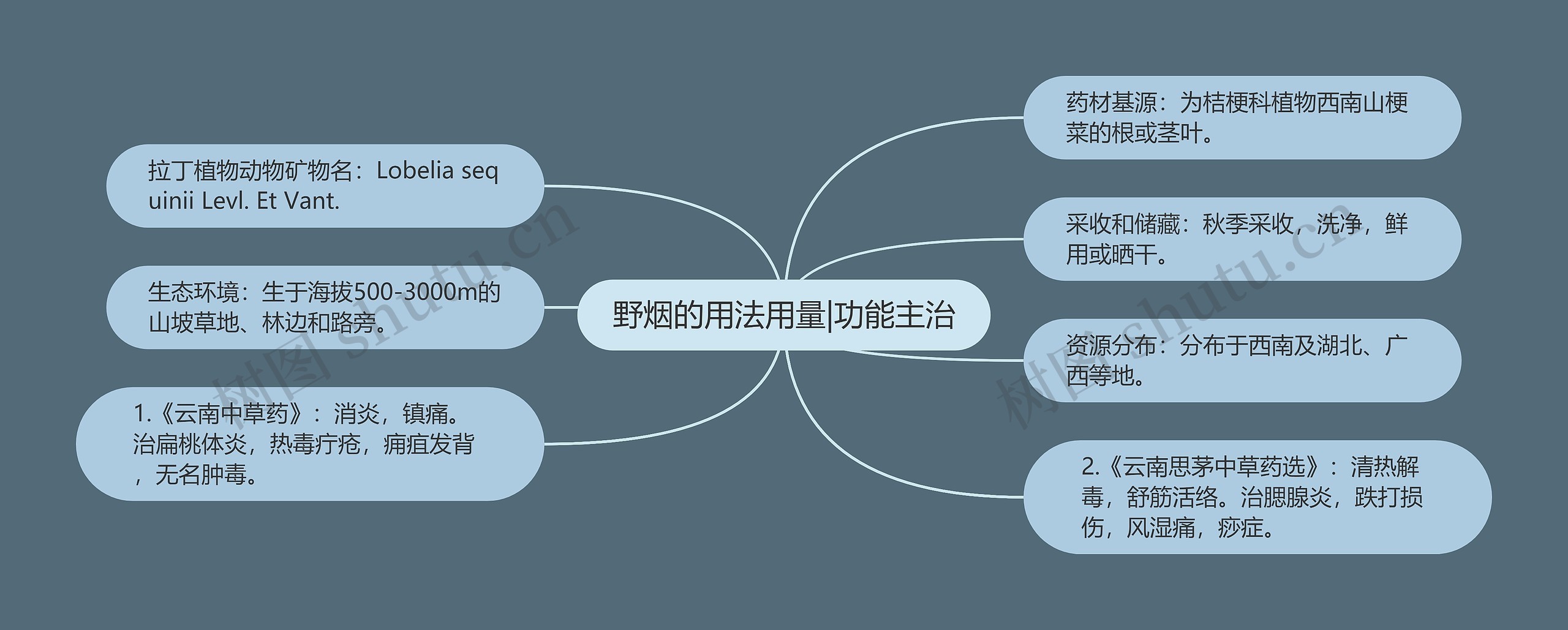 野烟的用法用量|功能主治思维导图