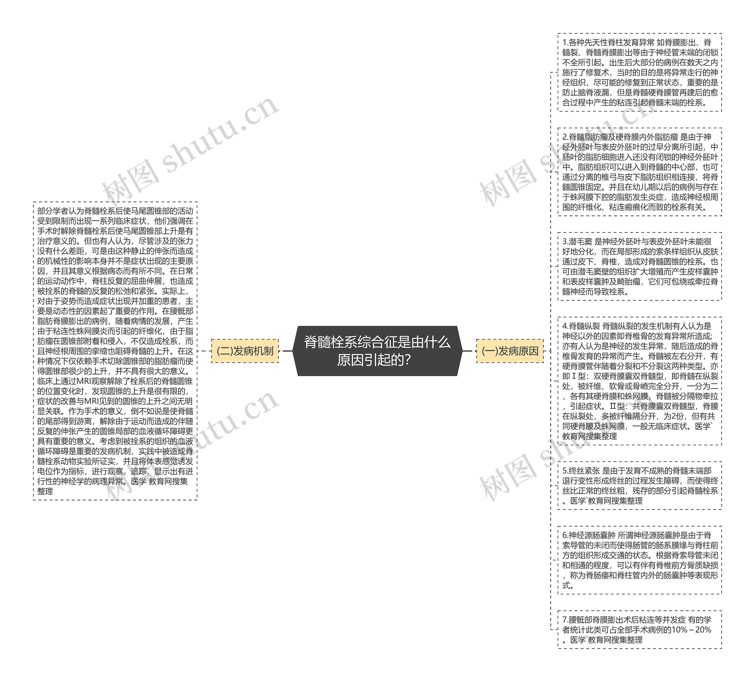 脊髓栓系综合征是由什么原因引起的？思维导图