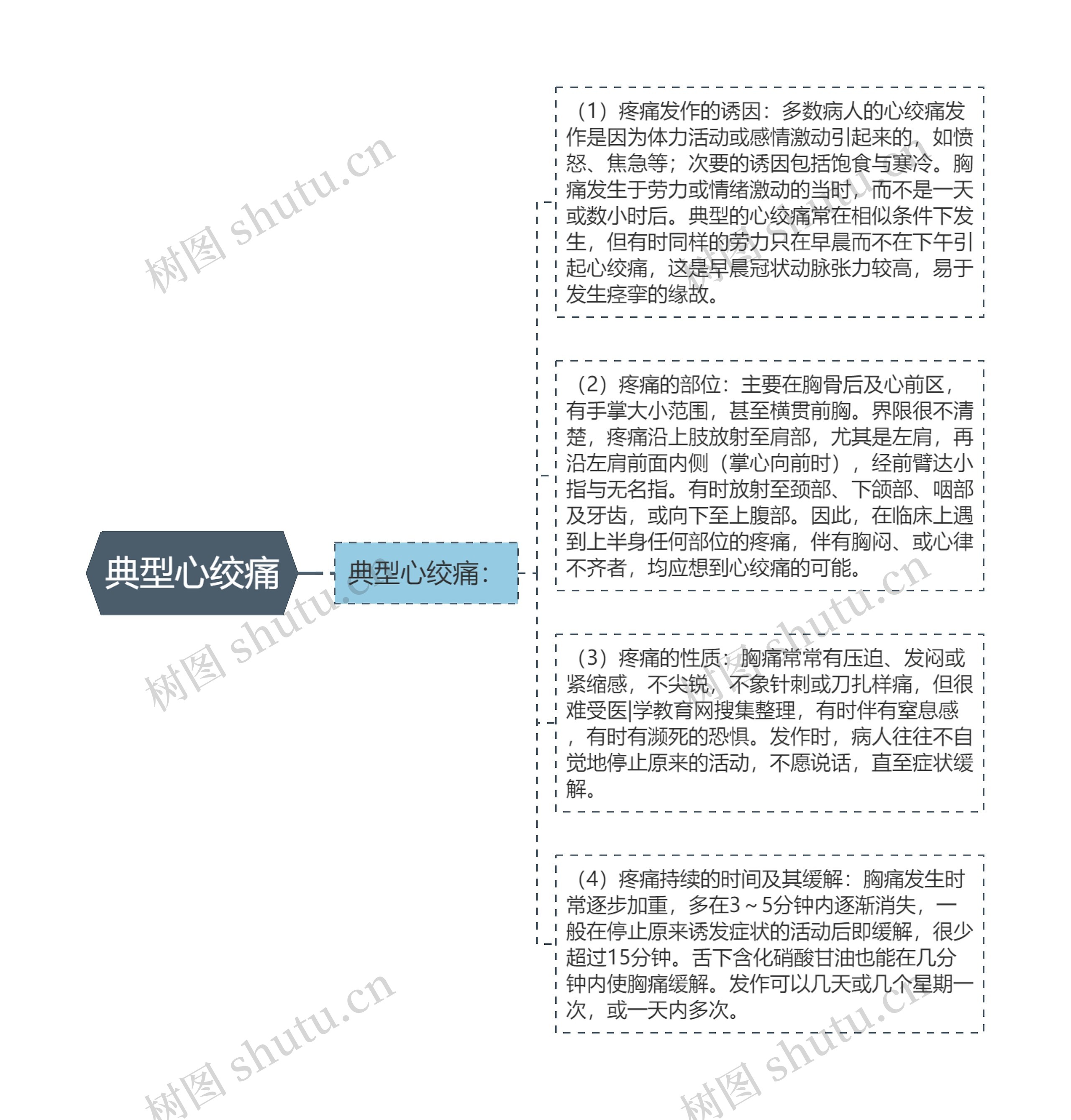 典型心绞痛思维导图