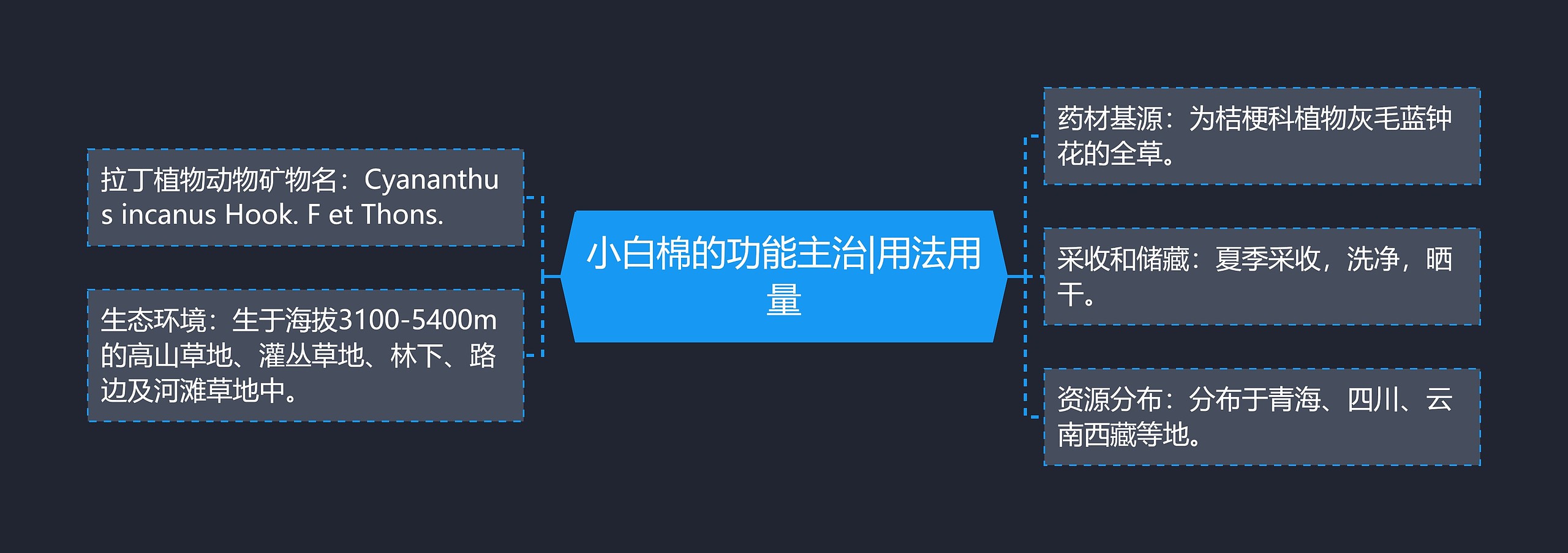 小白棉的功能主治|用法用量