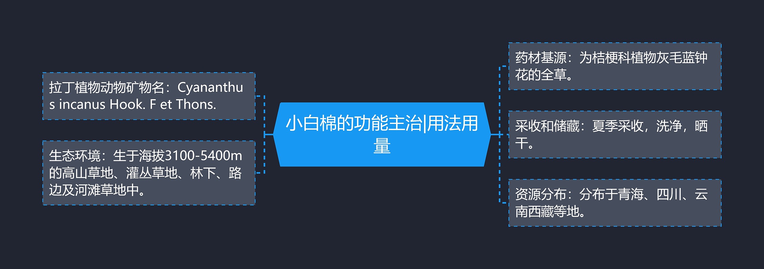 小白棉的功能主治|用法用量思维导图