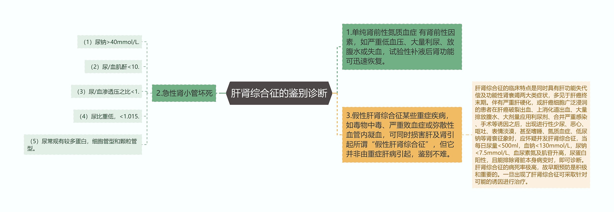 肝肾综合征的鉴别诊断思维导图